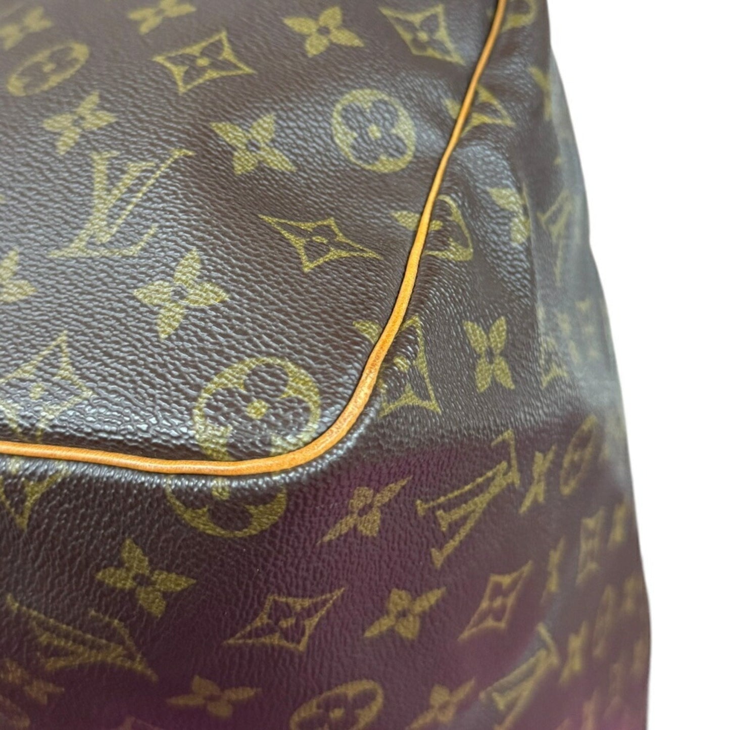 Speedy 30 Monogram Canvas Handbag