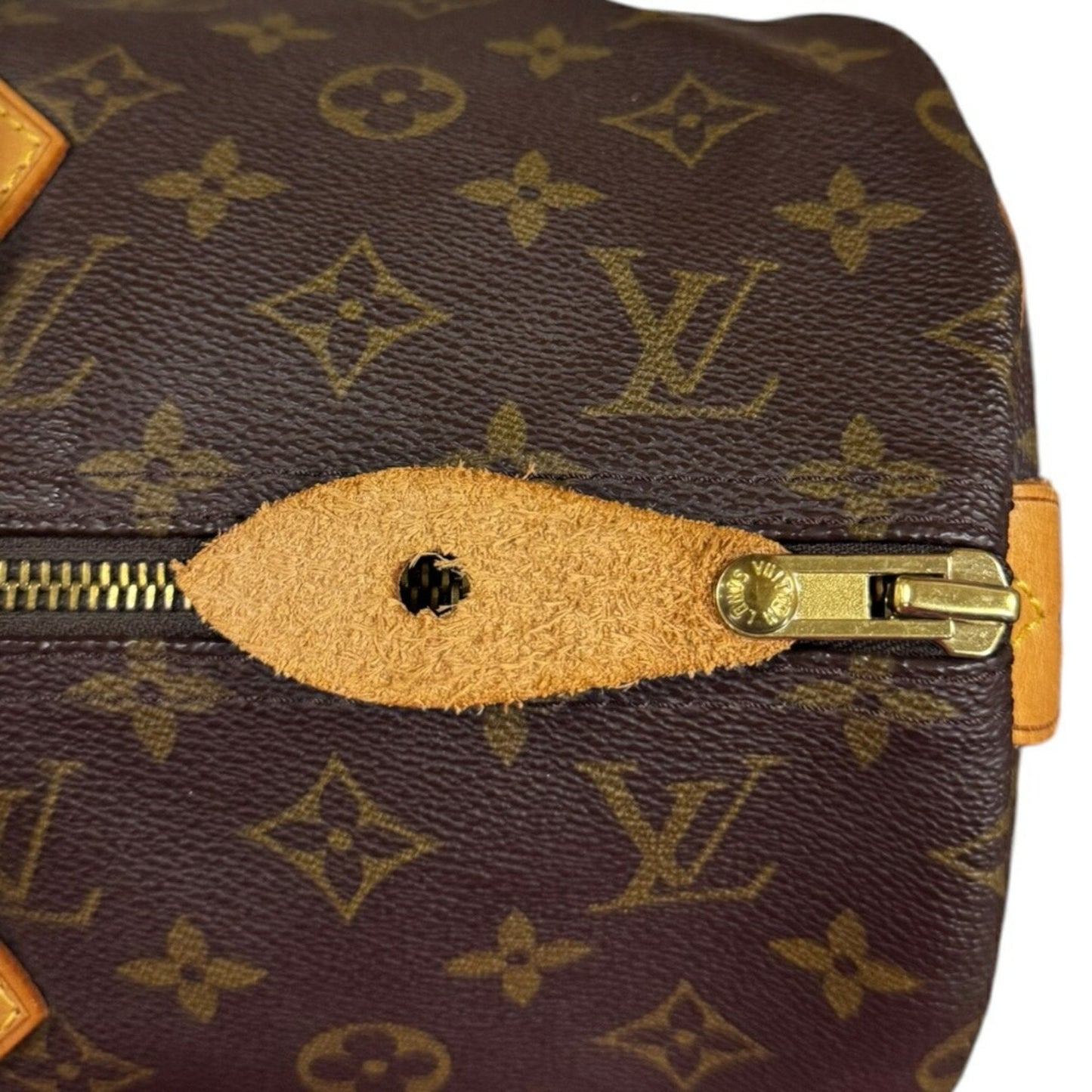 Speedy 30 Monogram Canvas Handbag
