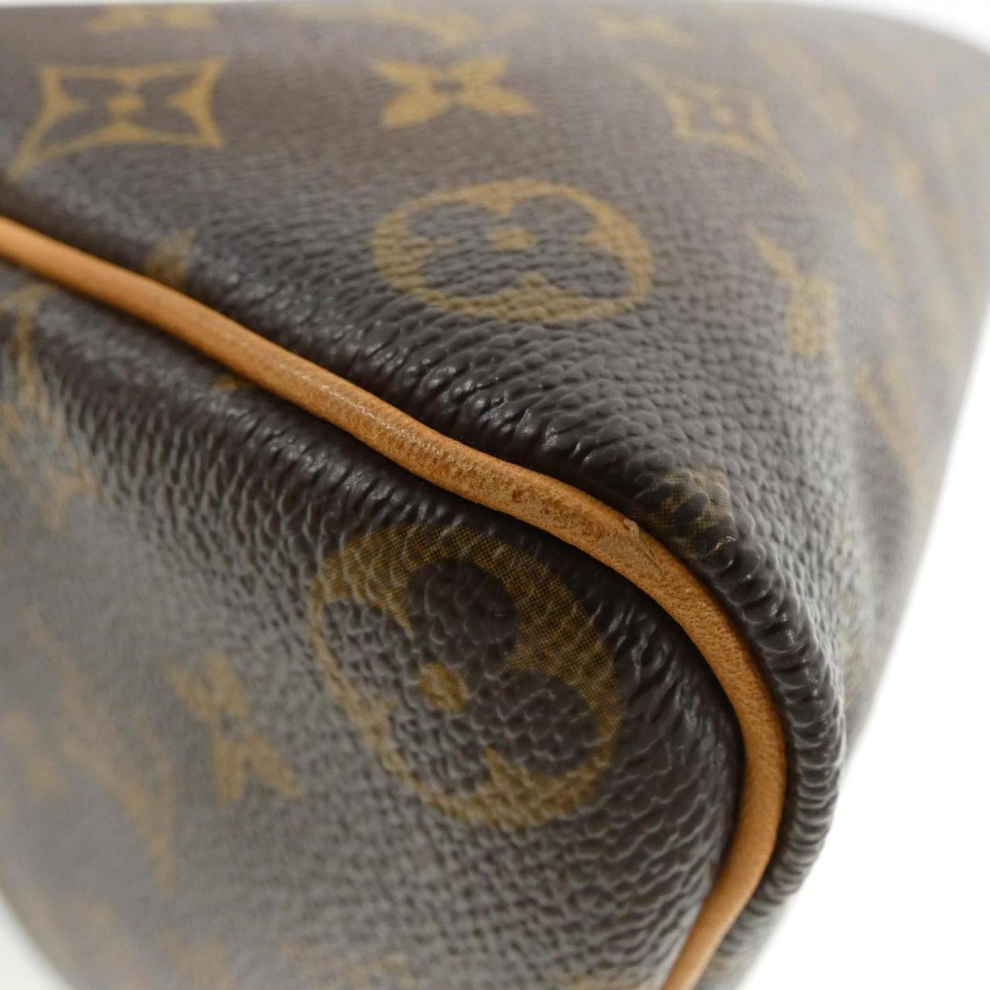 Iconic Monogram Canvas Speedy Bag with Dust Bag and Padlock