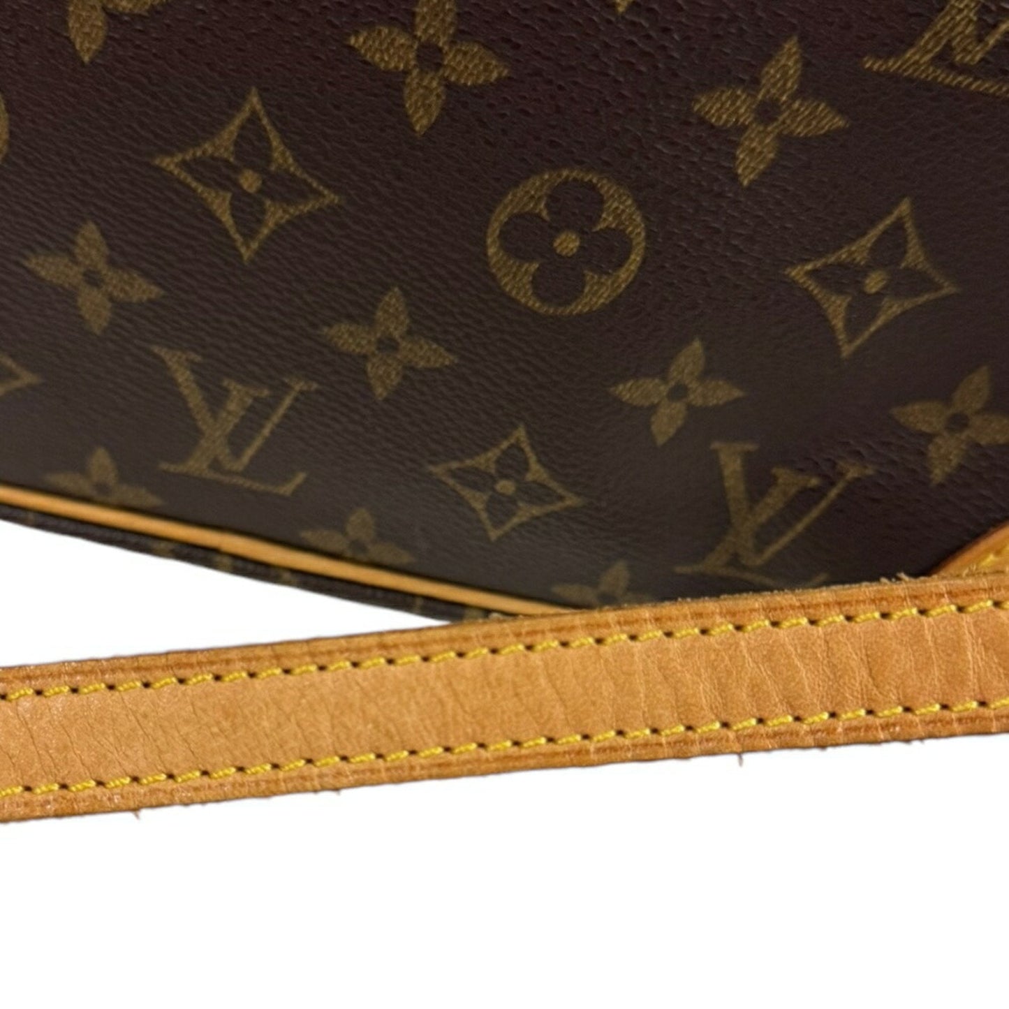 Trocadero Canvas Shoulder Bag