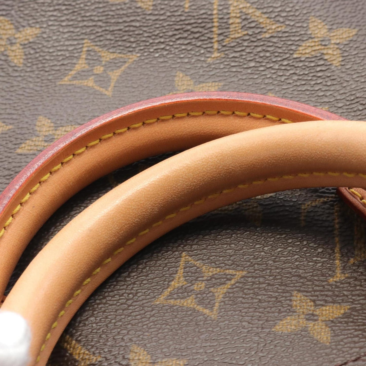 Designer Canvas Speedy Bag in Good Condition