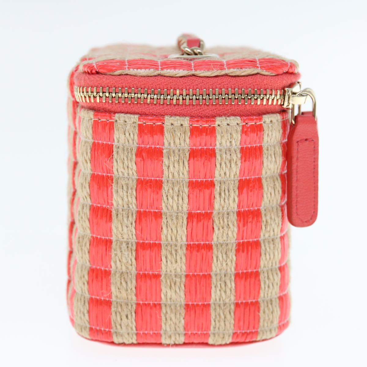 Chanel Raffia Leather Crossbody Bag AS1161