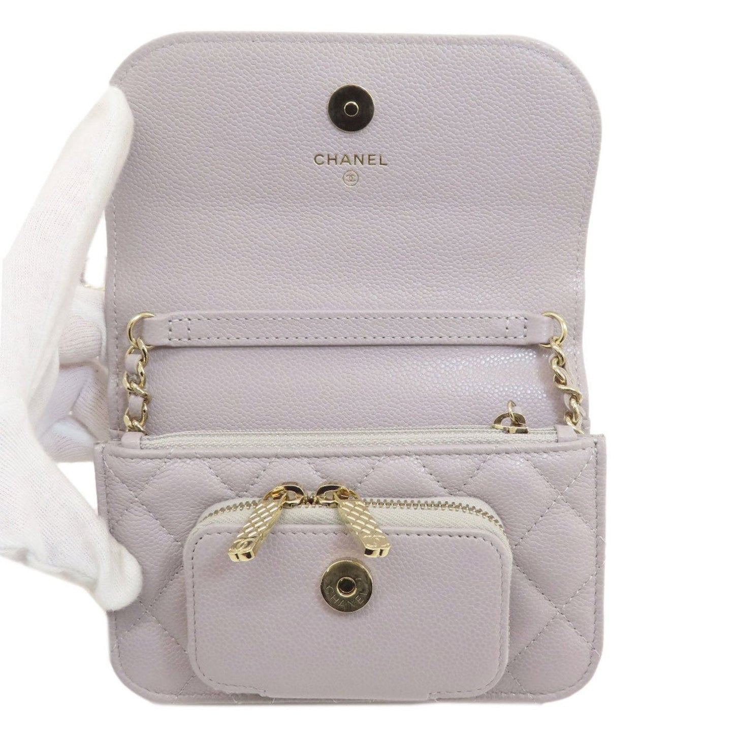Chanel Mini Flap Bag Quilted Lambskin