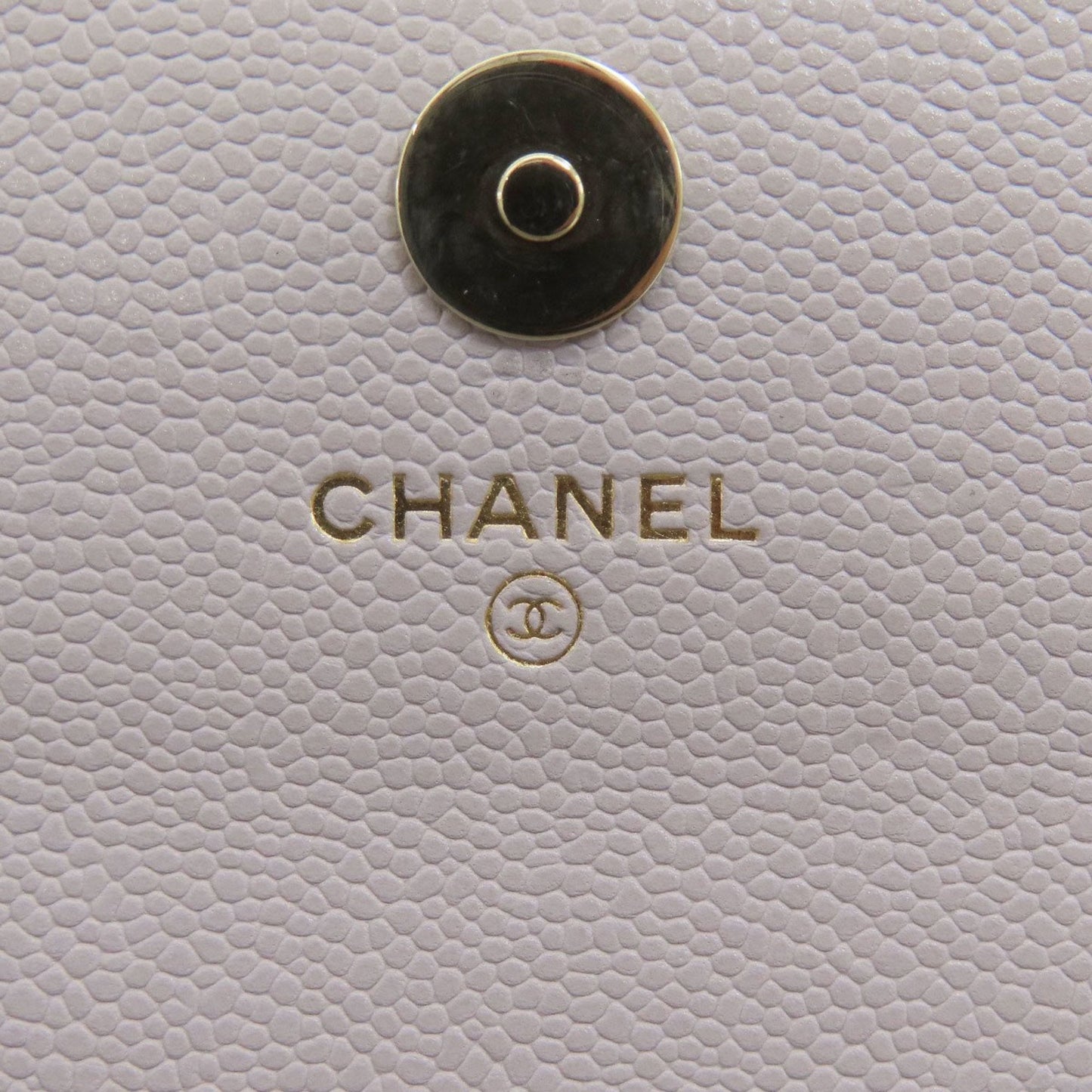 Chanel Mini Flap Bag Quilted Lambskin