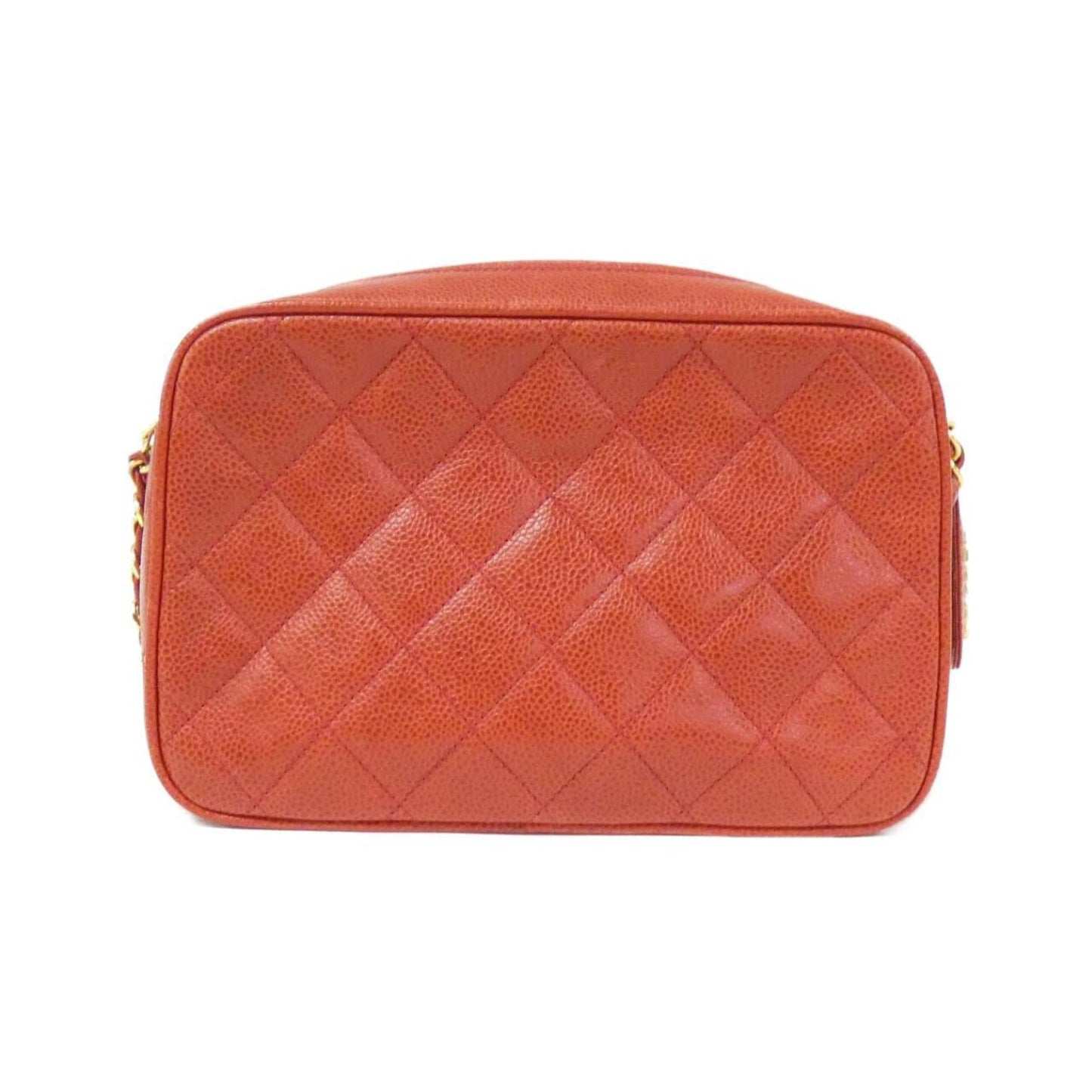 Chanel Leather Camera Bag with  Card