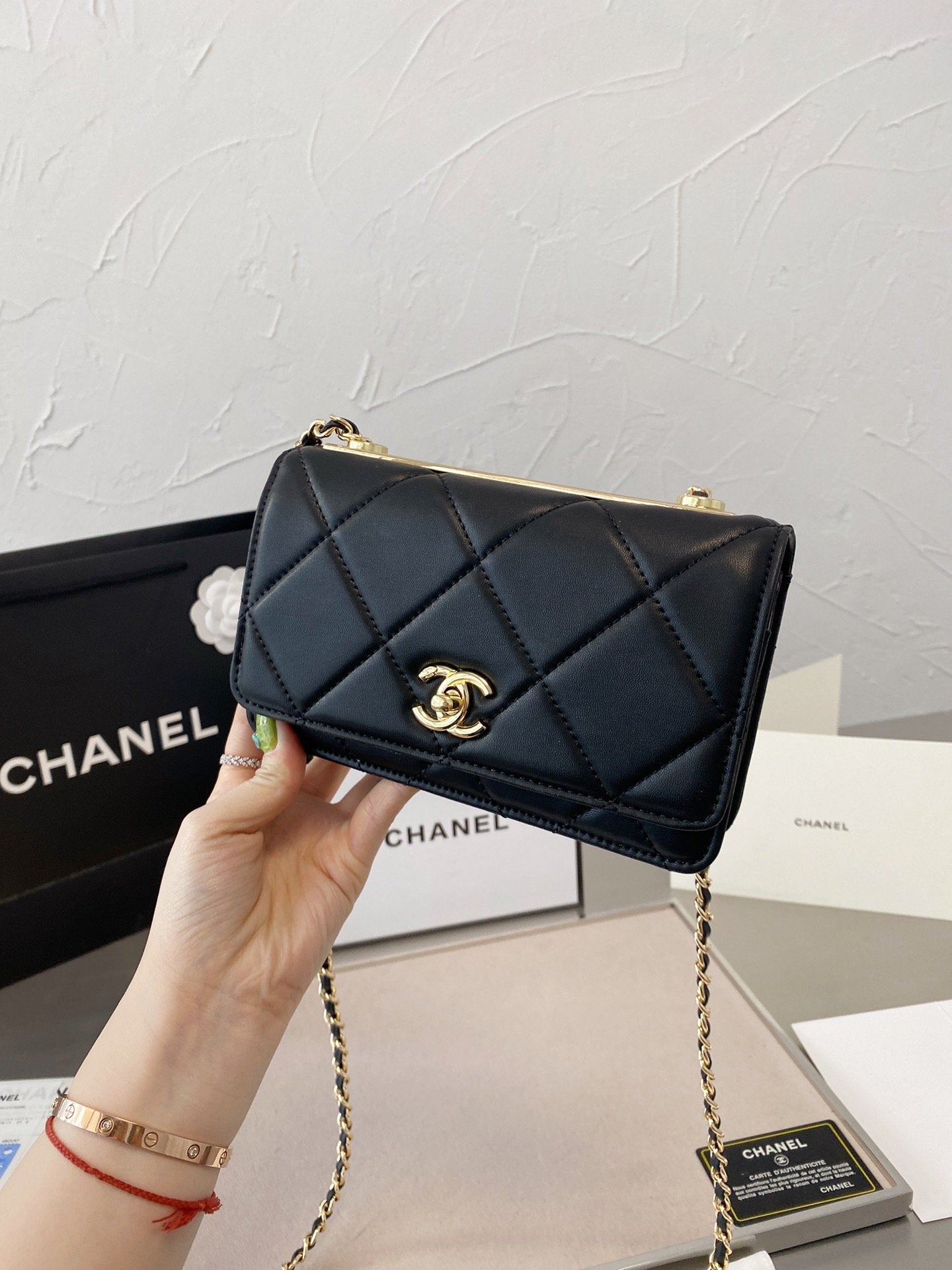 EN - New Arrival Bags CHL 054
