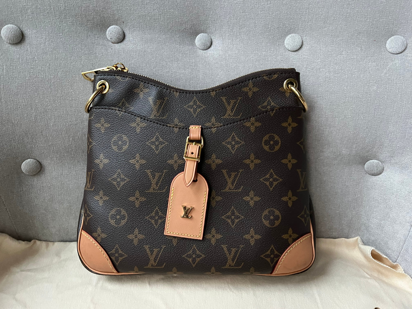 Louis Vuitton Odeon Monogram (RRP £1650)