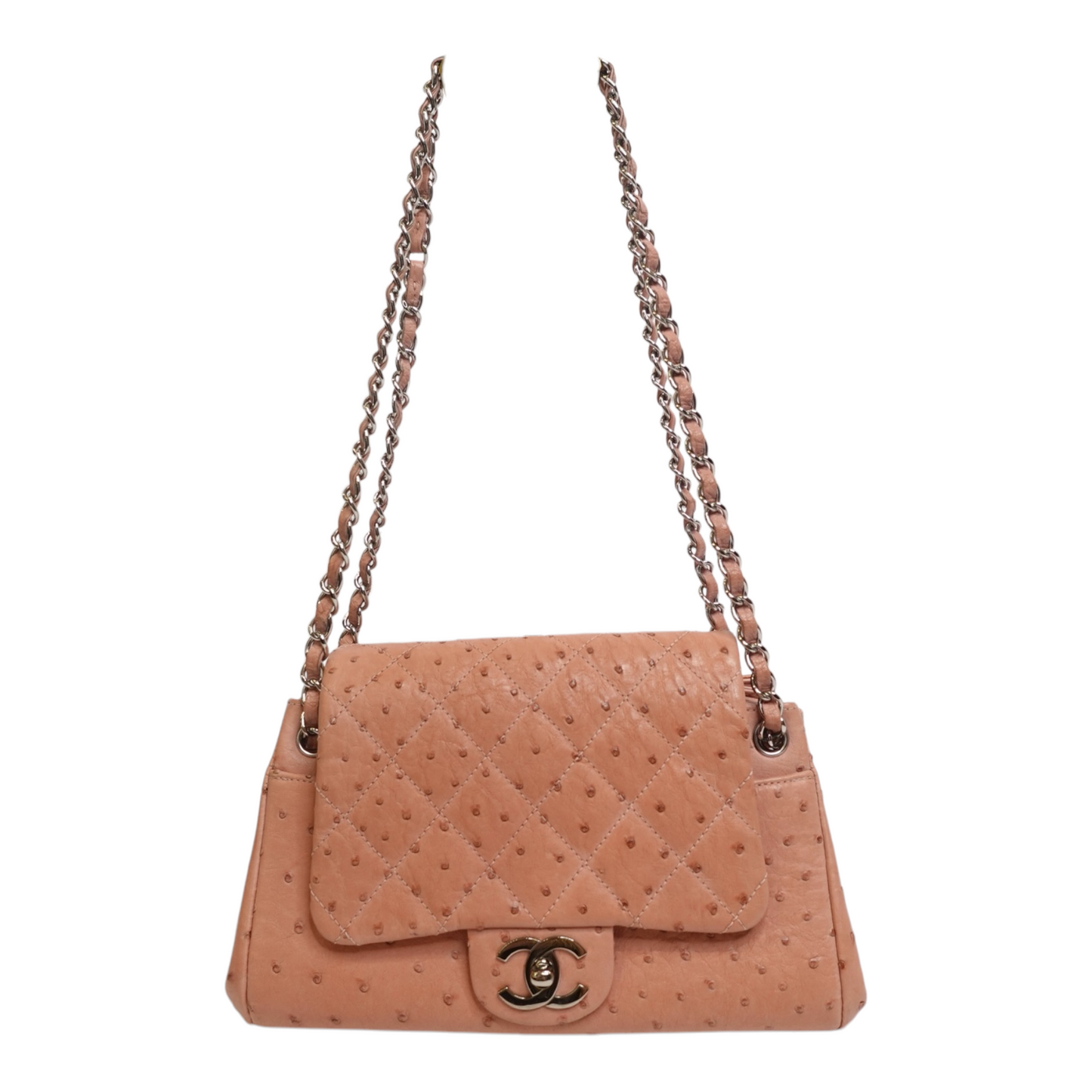 Chanel Ostrich Accordion Flap Bag