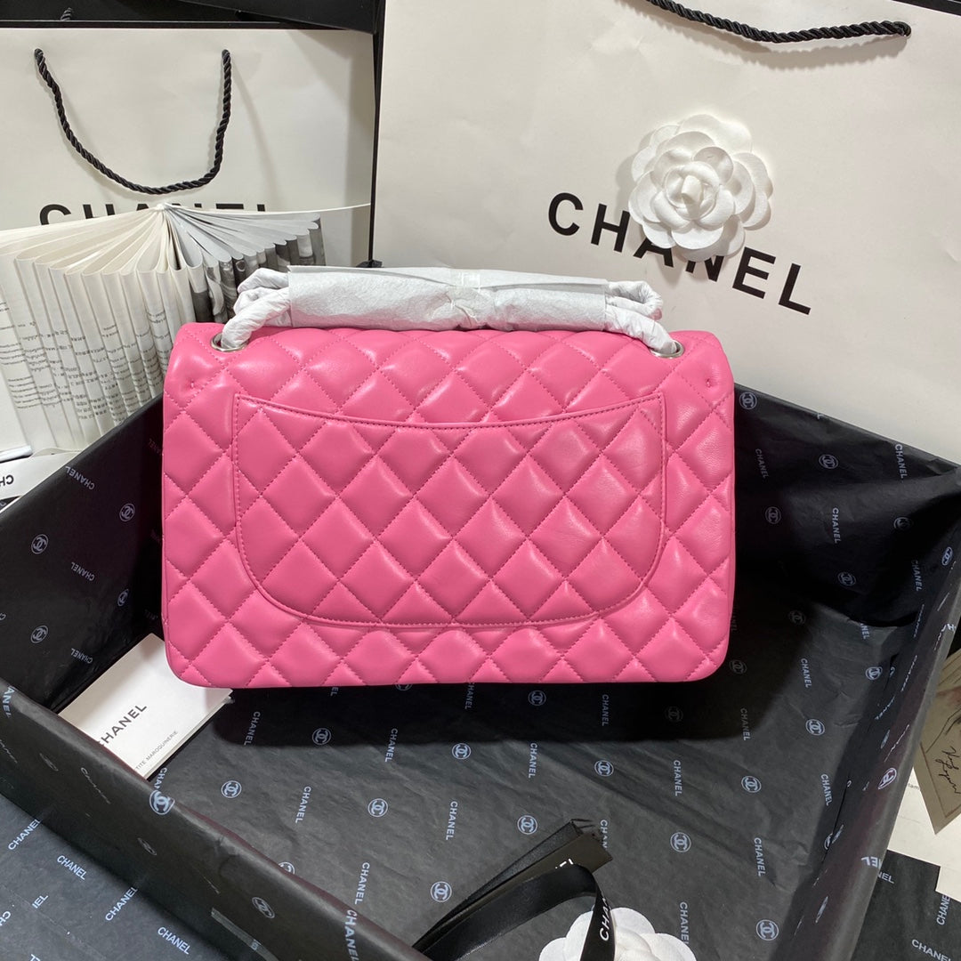 CHLLarge Classic Handbag Gold Hardware PiNike For Women Handbags, Shoulder Bags 11.8in/30cm