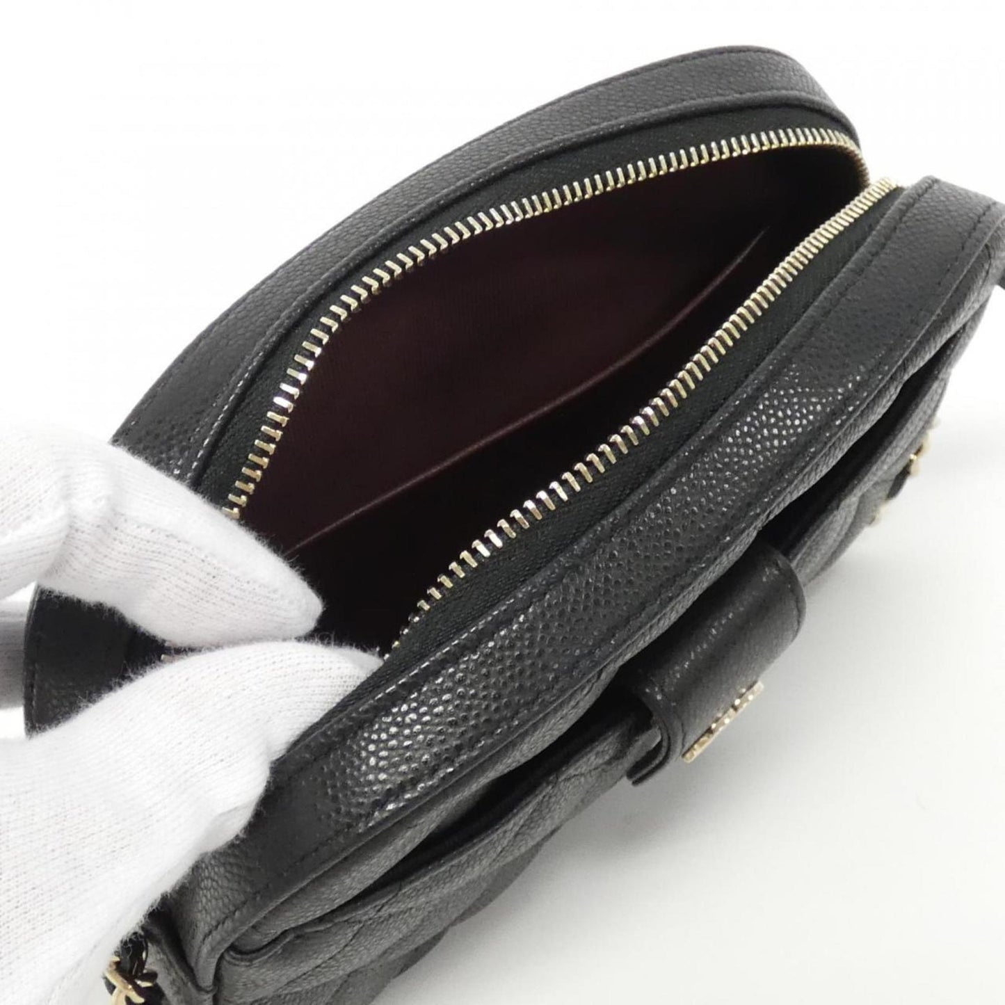 Chanel Leather Camera Bag with Dust Bag