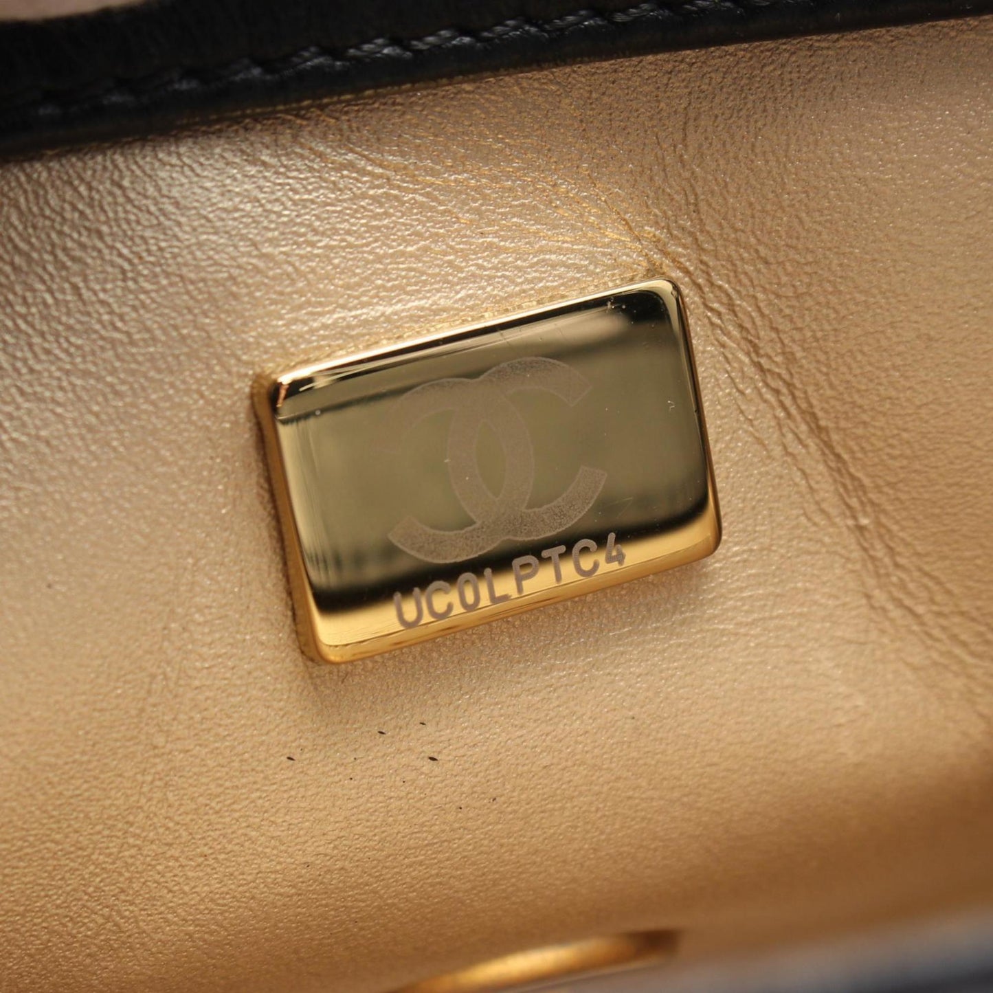 Chanel Chanel 19 Mini Flap Bag