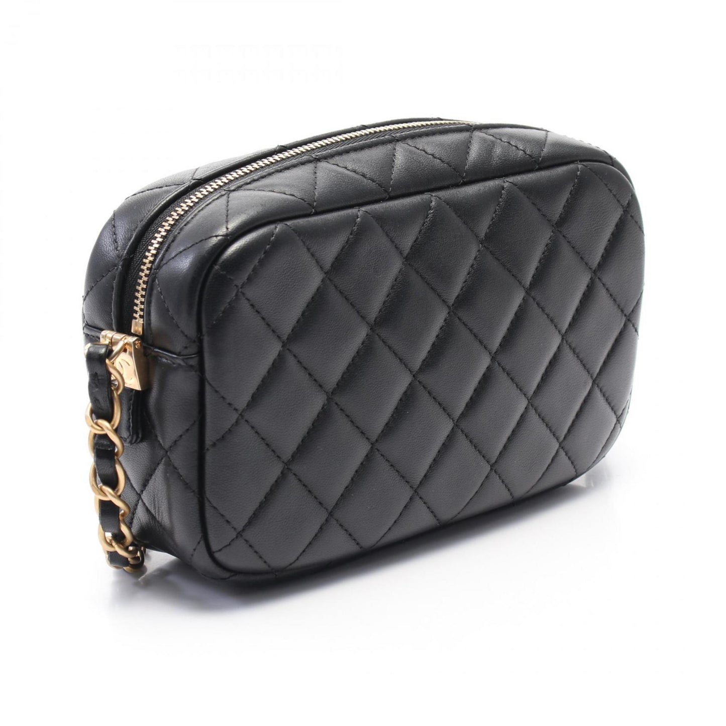 Chanel Leather Camera Bag with Metal Fittings