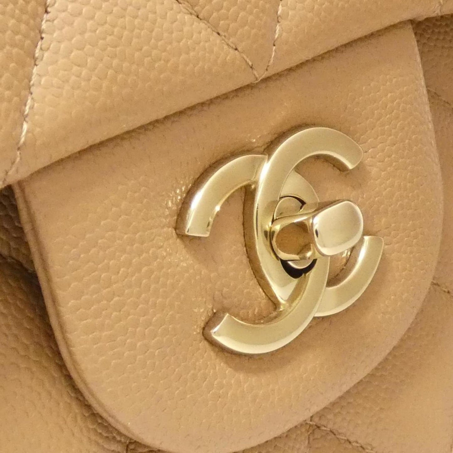 Chanel Classic Flap Bag 255 Quilted Leather
