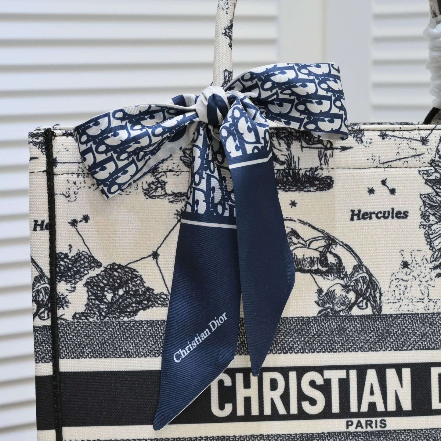 EN - New Arrival Bags DIR 296