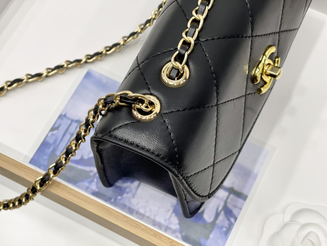 EN - New Arrival Bags CHL 249