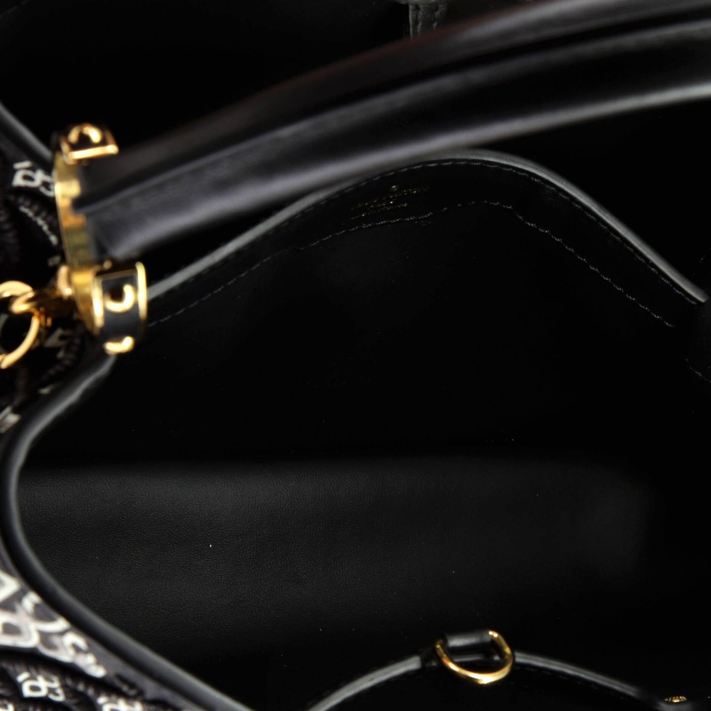 Louis Vuitton Capucines Bag Limited Edition Since 1854 Monogram Calfskin PM