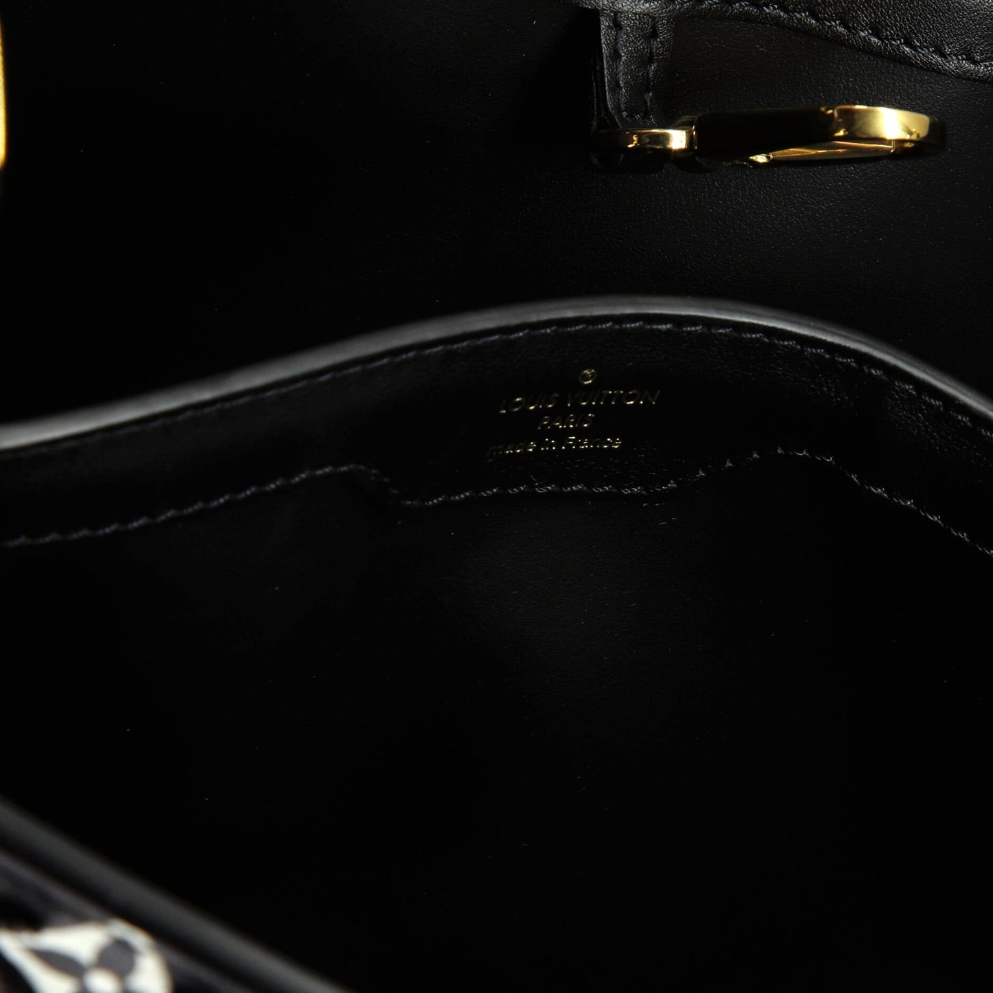 Louis Vuitton Capucines Bag Limited Edition Since 1854 Monogram Calfskin PM