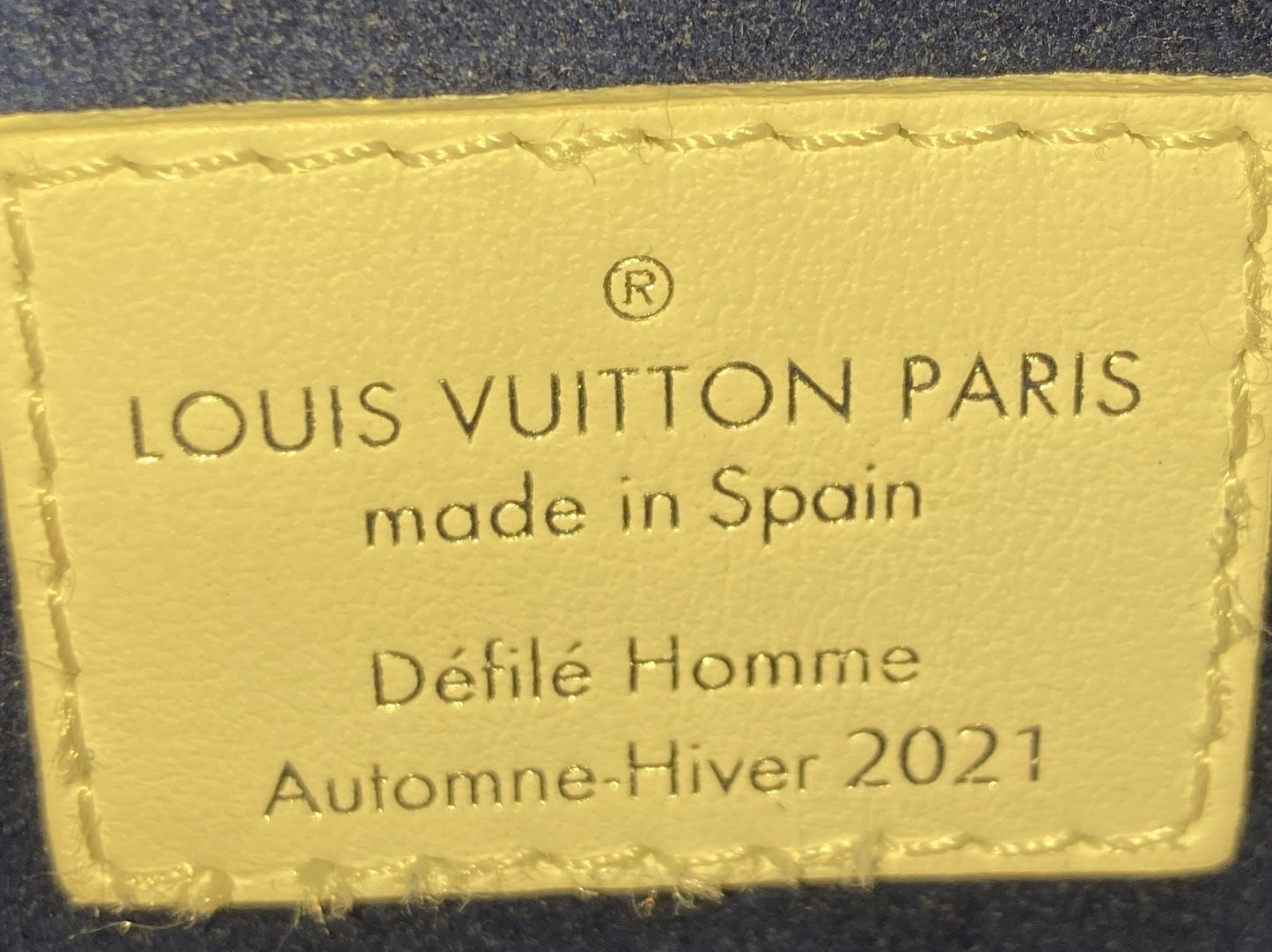 Louis Vuitton Sac Plat Bag Everyday Signature Printed Leather XS