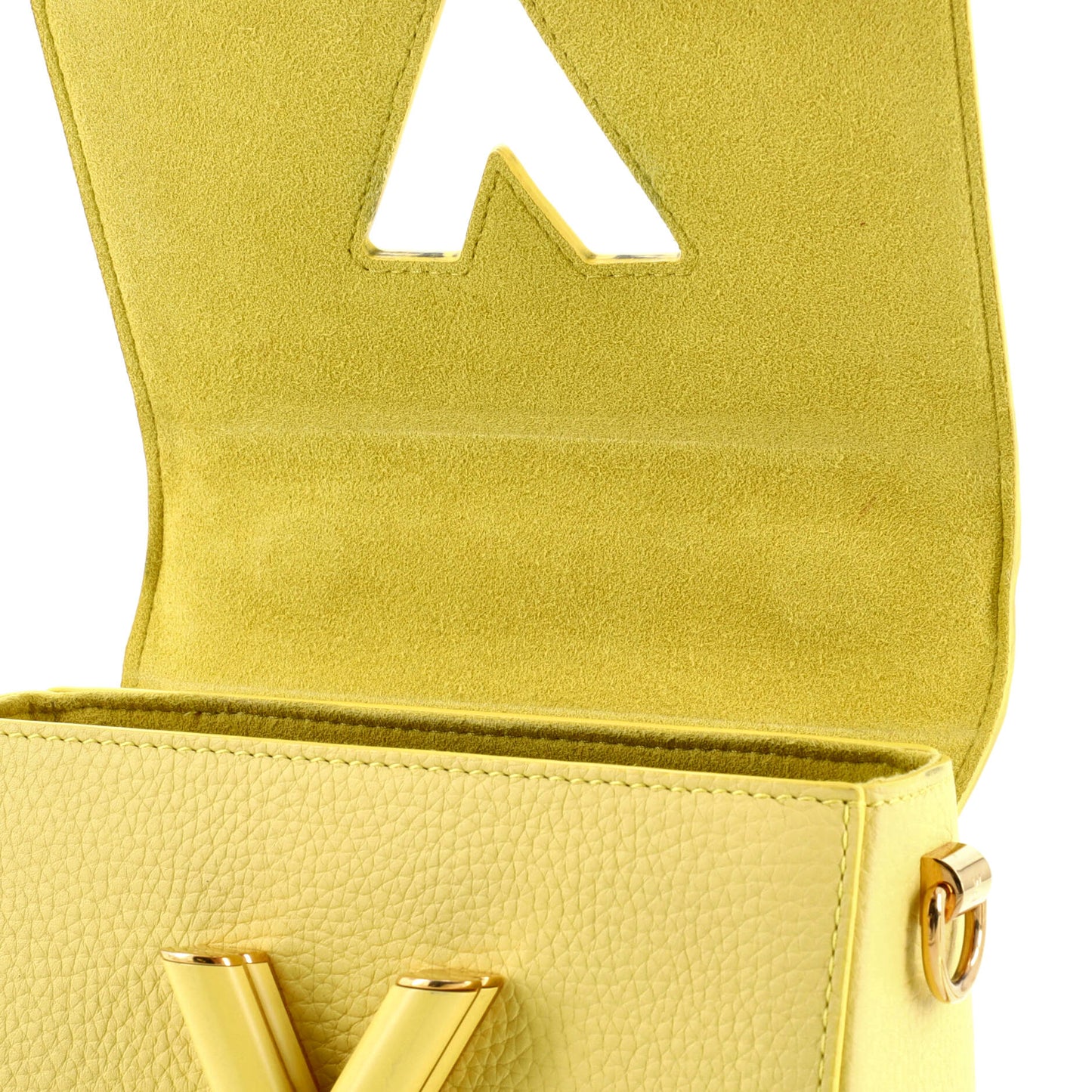 Louis Vuitton Twist Scrunchie Top Handle Bag Leather PM