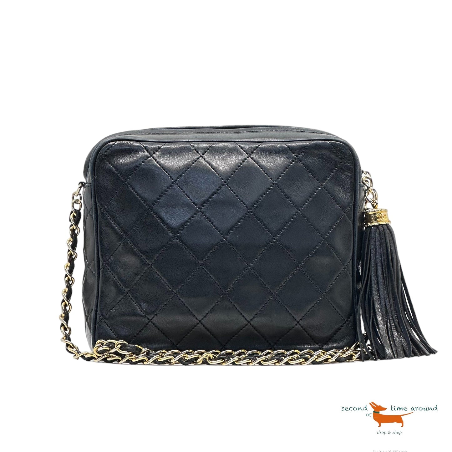 Chanel Camera Vintage Bag