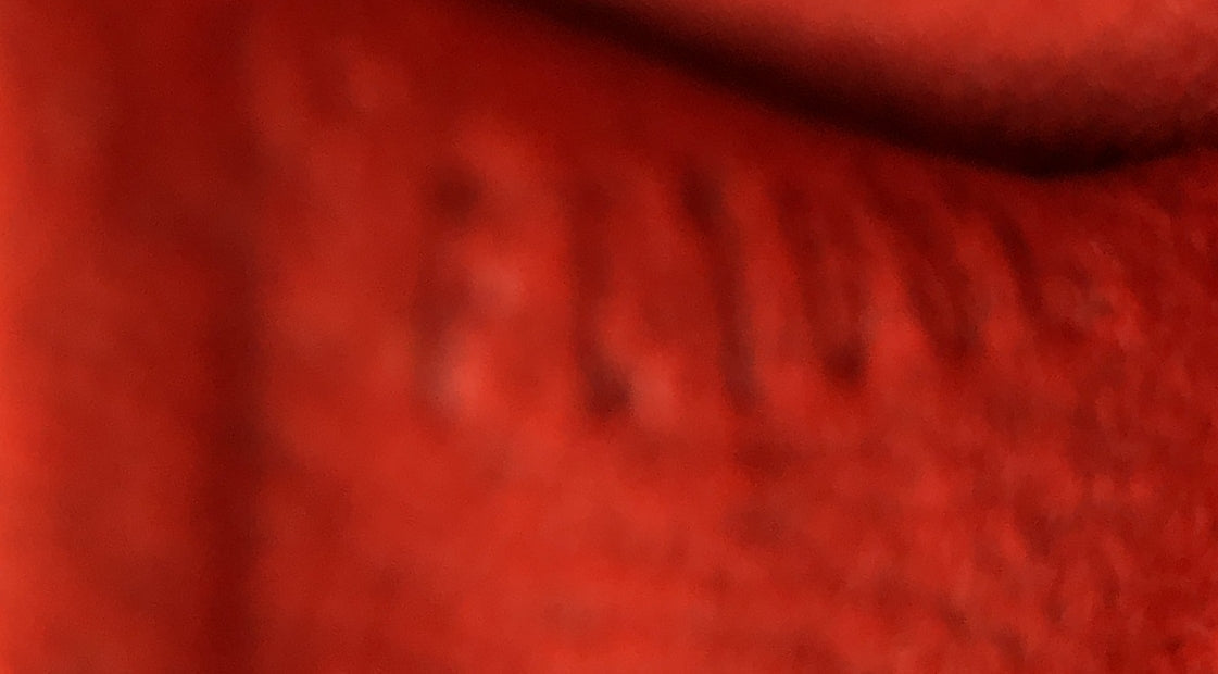 Louis Vuitton Recoleta Handbag Damier