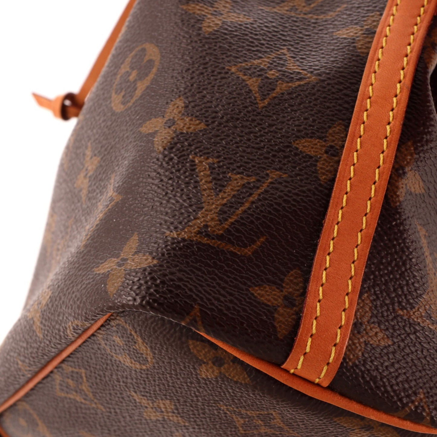 Louis Vuitton Noe Handbag Monogram Canvas Nano
