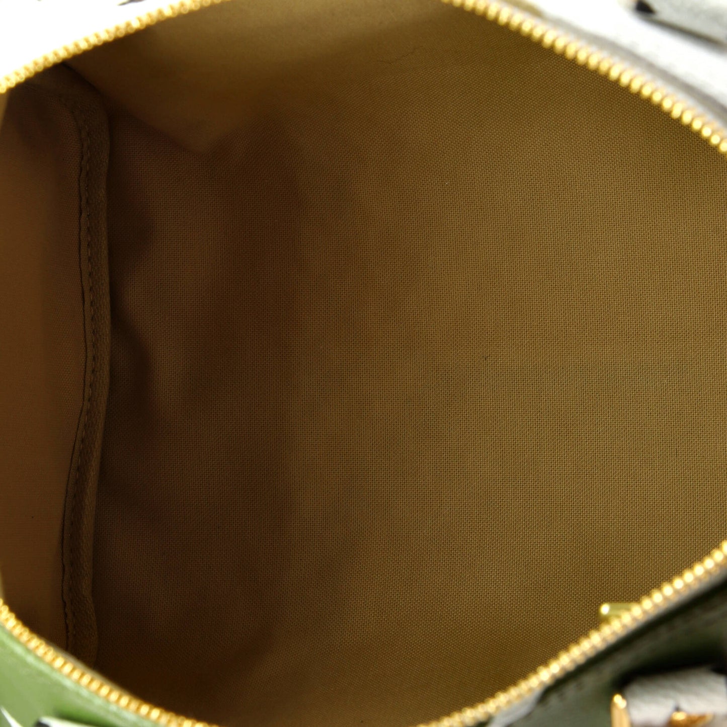 Louis Vuitton Speedy Bandouliere Bag Limited Edition Colored Monogram Giant 30