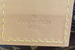 Louis Vuitton CarryAll Hobo Monogram Canvas MM