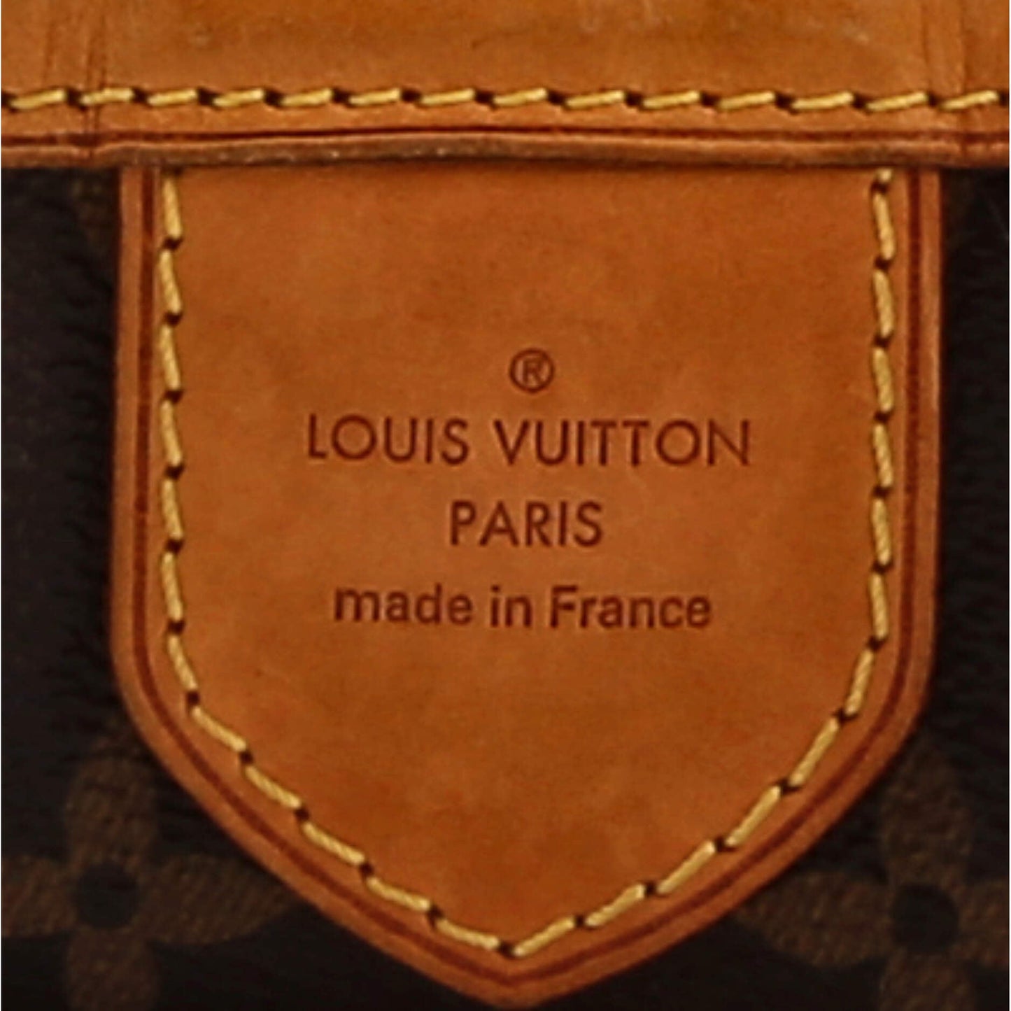 Louis Vuitton Delightful Handbag Monogram Canvas GM
