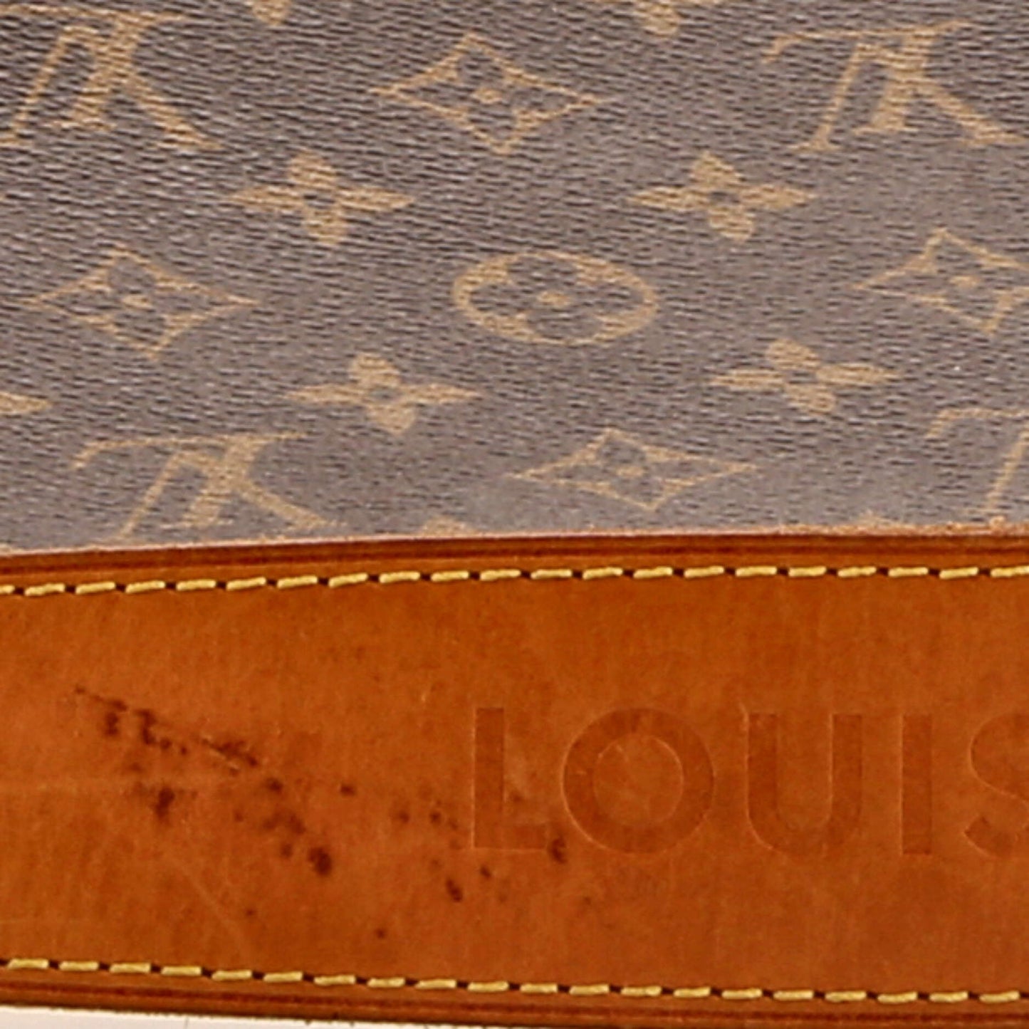 Louis Vuitton Delightful Handbag Monogram Canvas GM