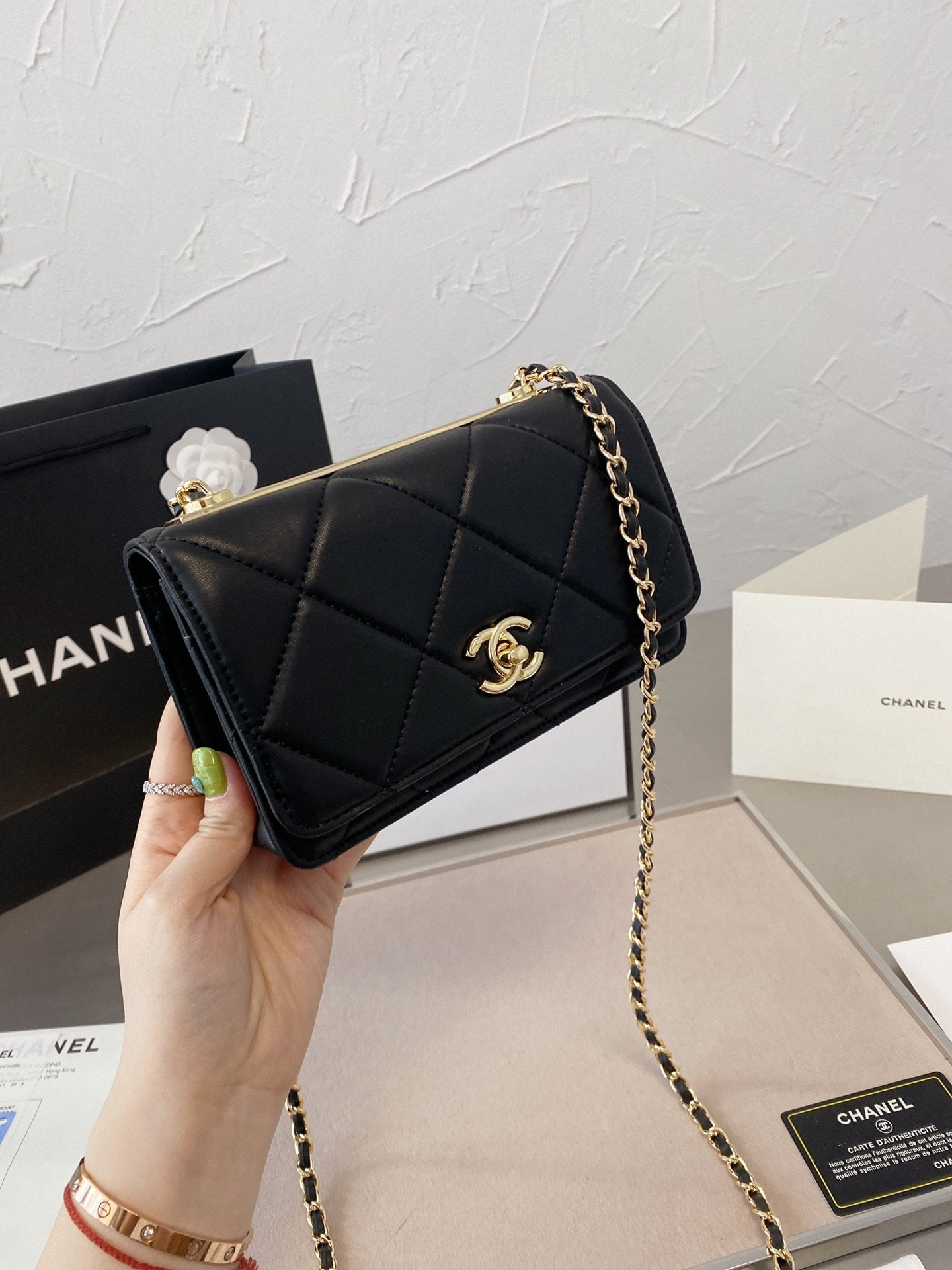 EN - New Arrival Bags CHL 054