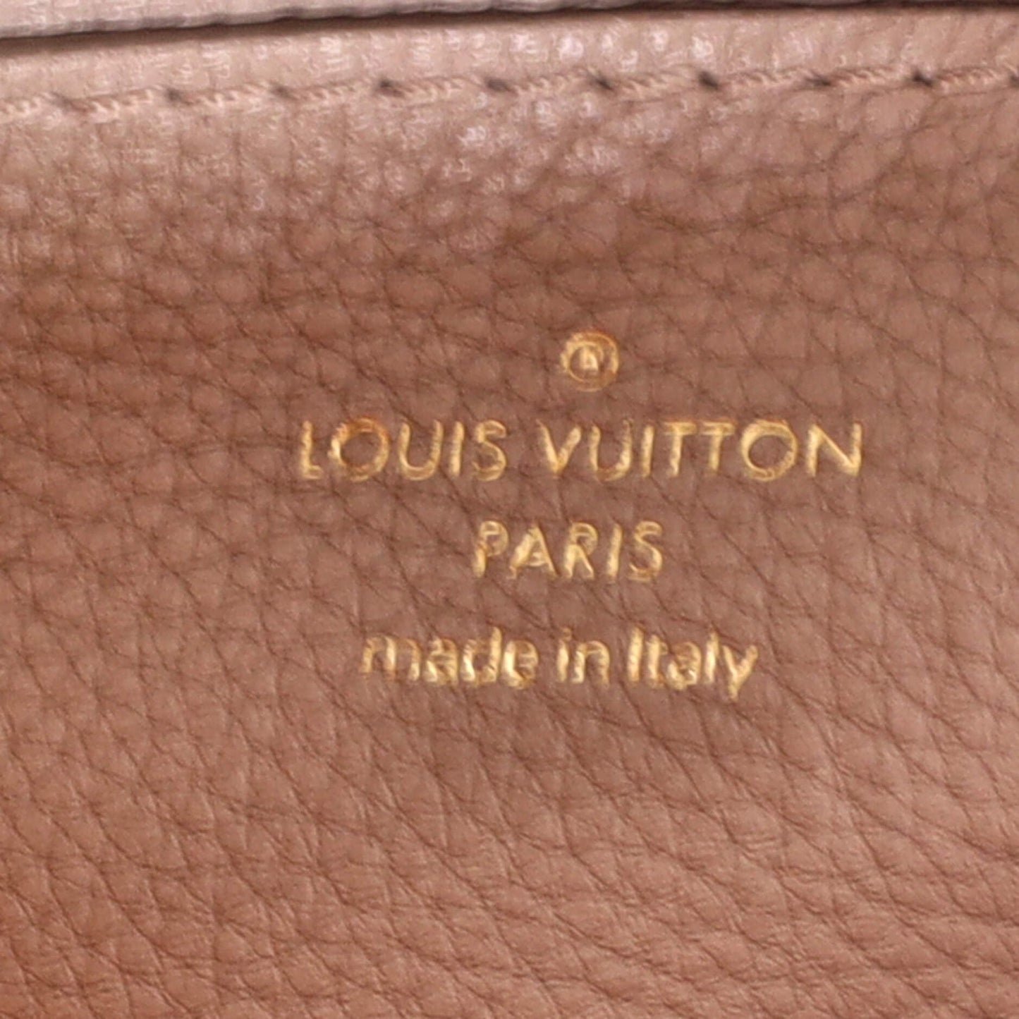 Louis Vuitton LV Pont 9 Soft Bag Leather PM