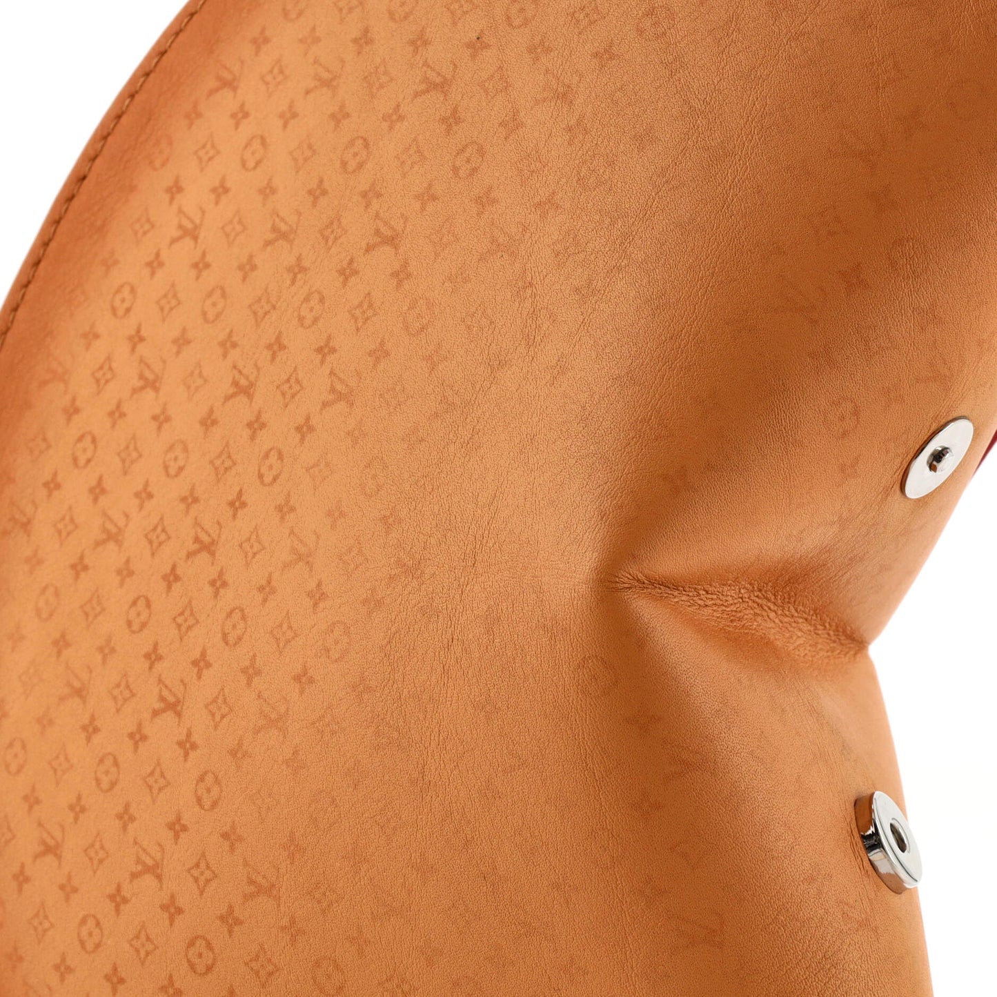 Louis Vuitton Fortune Cookie Bag Monogram Leather and Printed PVC