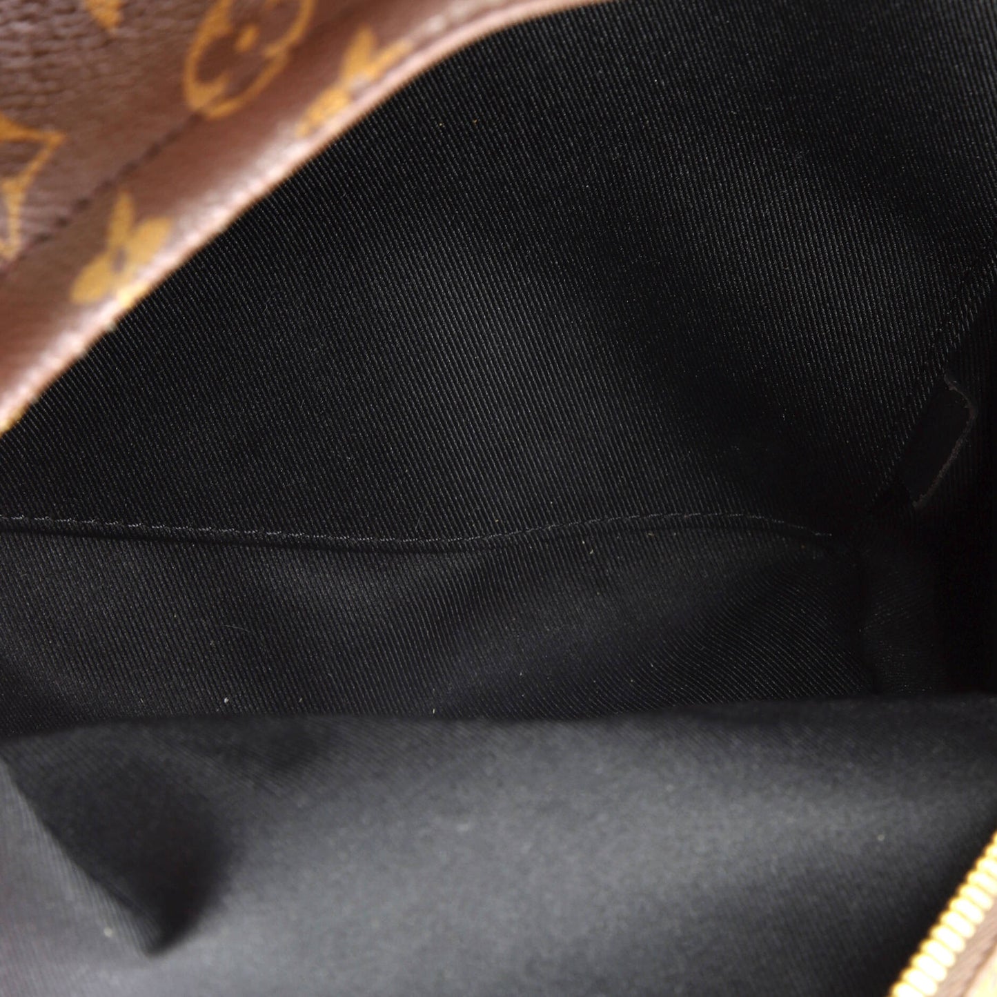 Louis Vuitton Palm Springs Backpack Monogram Canvas PM