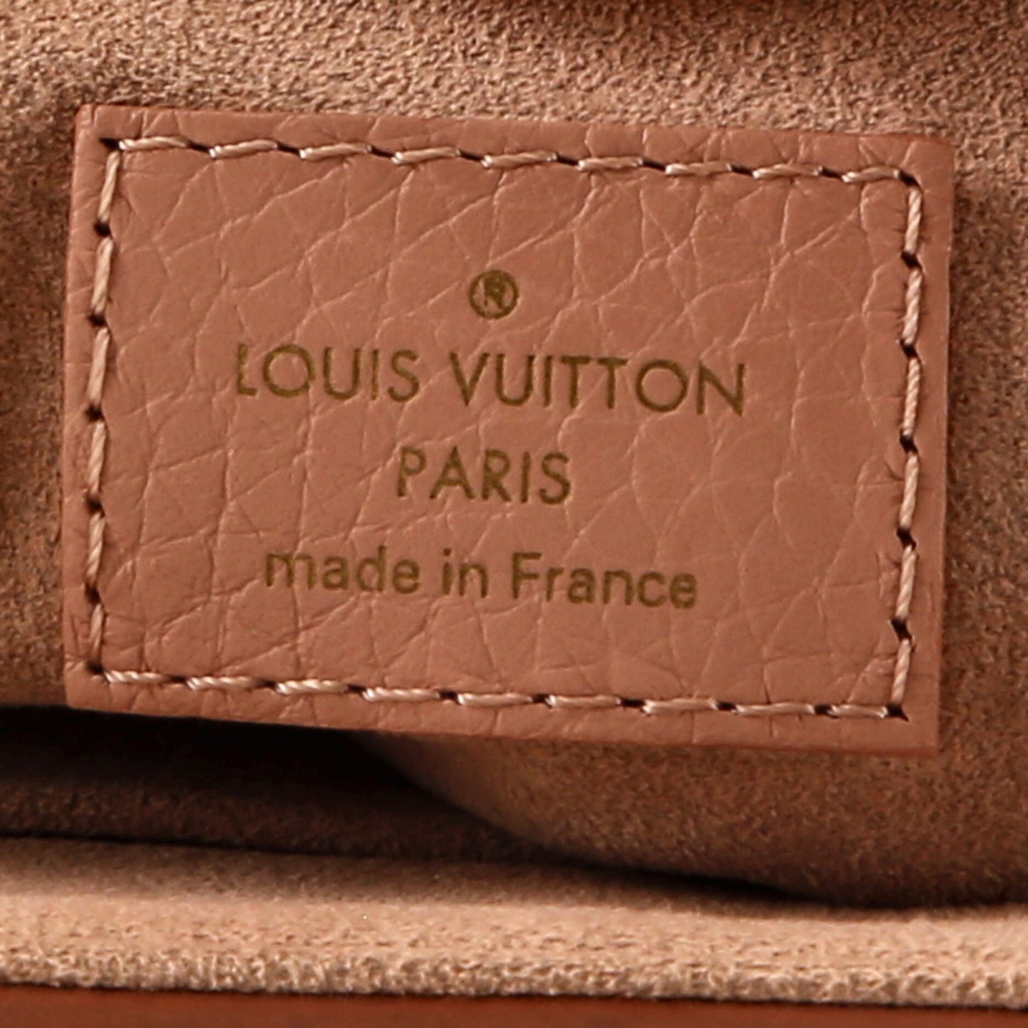 Louis Vuitton Volta Handbag Leather