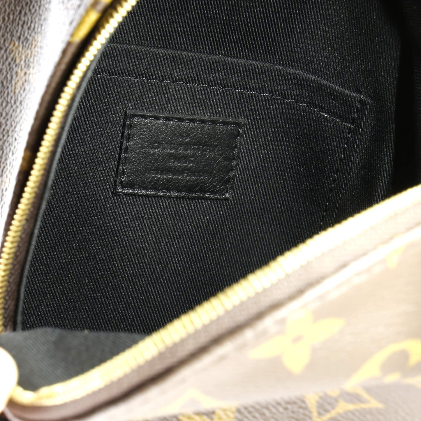 Louis Vuitton Palm Springs Backpack Monogram Canvas Mini