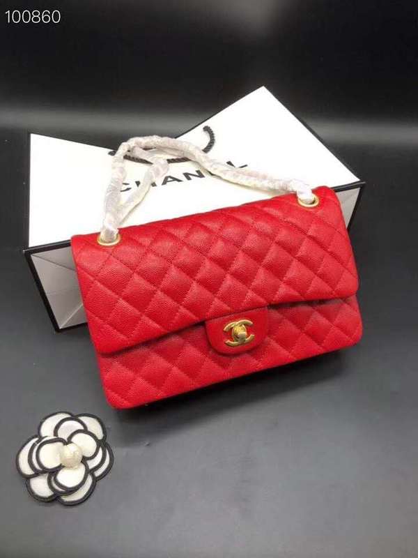 Satchel Bags - CHL Bags - 768