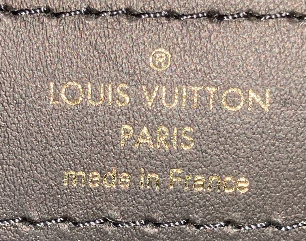 Louis Vuitton LV Twinny Handbag Monogram Canvas and Reverse Monogram Canvas with Leather