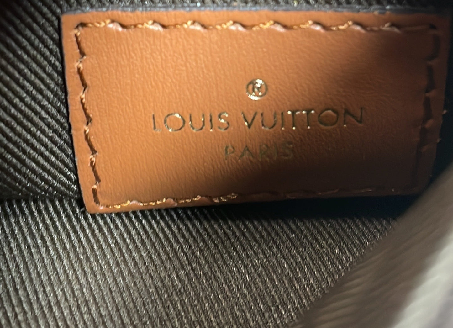 Louis Vuitton Loop Hobo Pouch Monogram Canvas