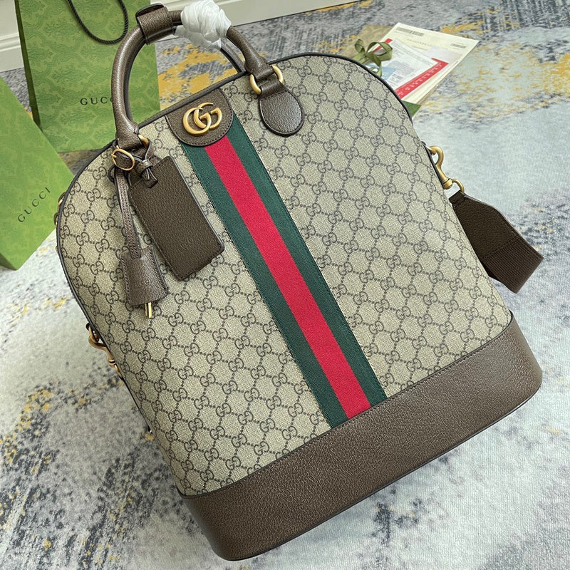 Gucci Luxury Fashion Bag