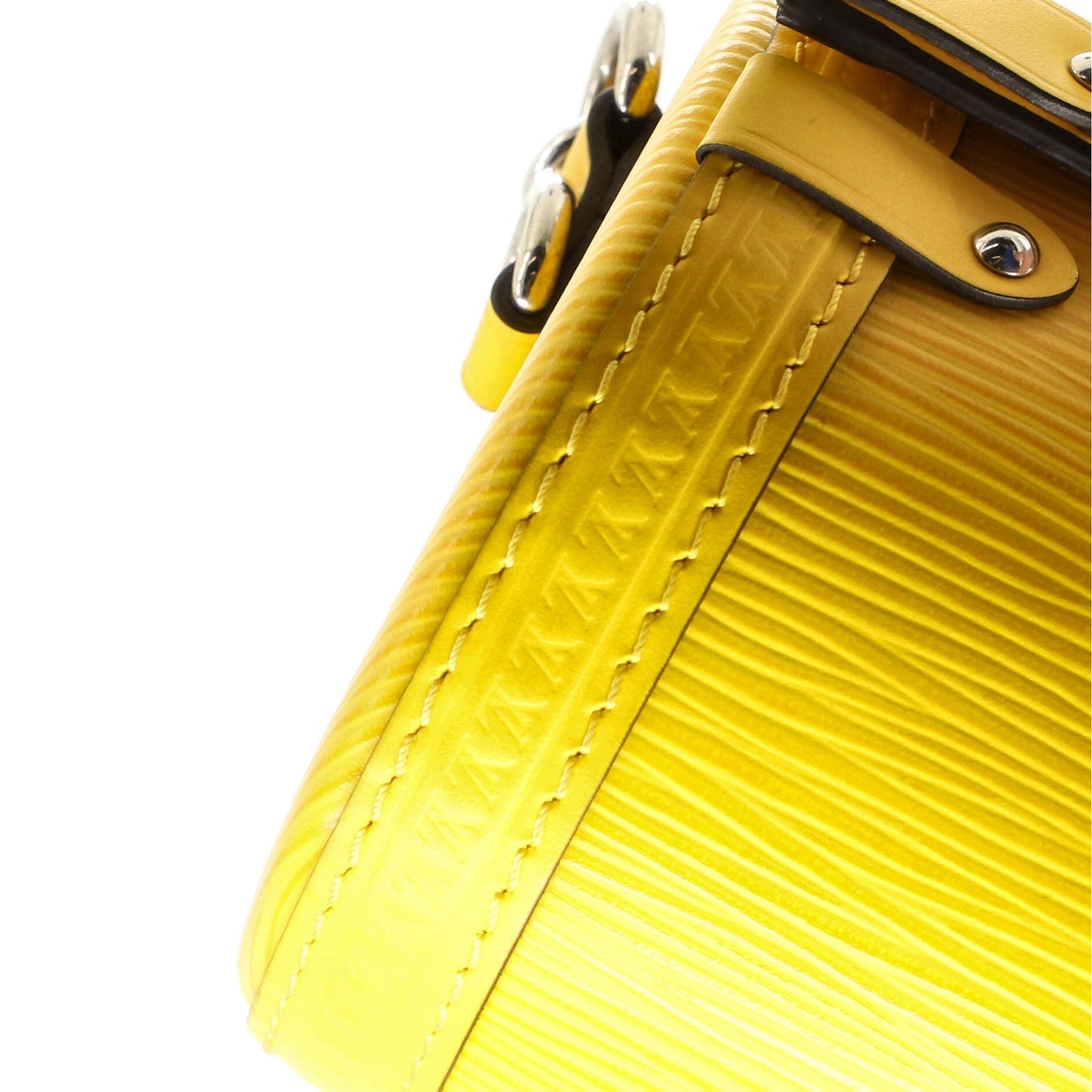 Louis Vuitton Papillon Trunk Bag Epi Leather
