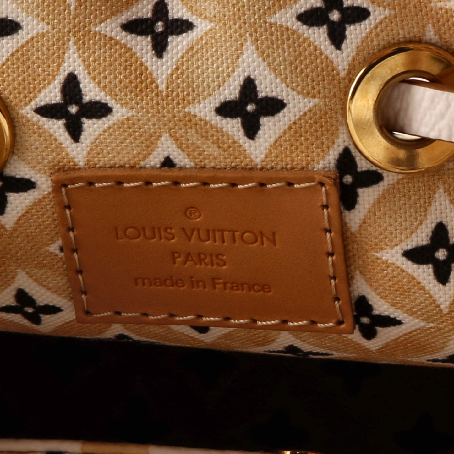 Louis Vuitton NeoNoe Handbag By The Pool Monogram Watercolor Giant BB