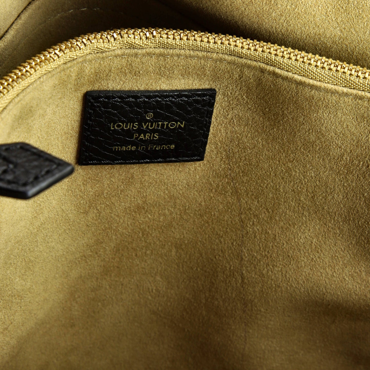 Louis Vuitton Volta Handbag Leather