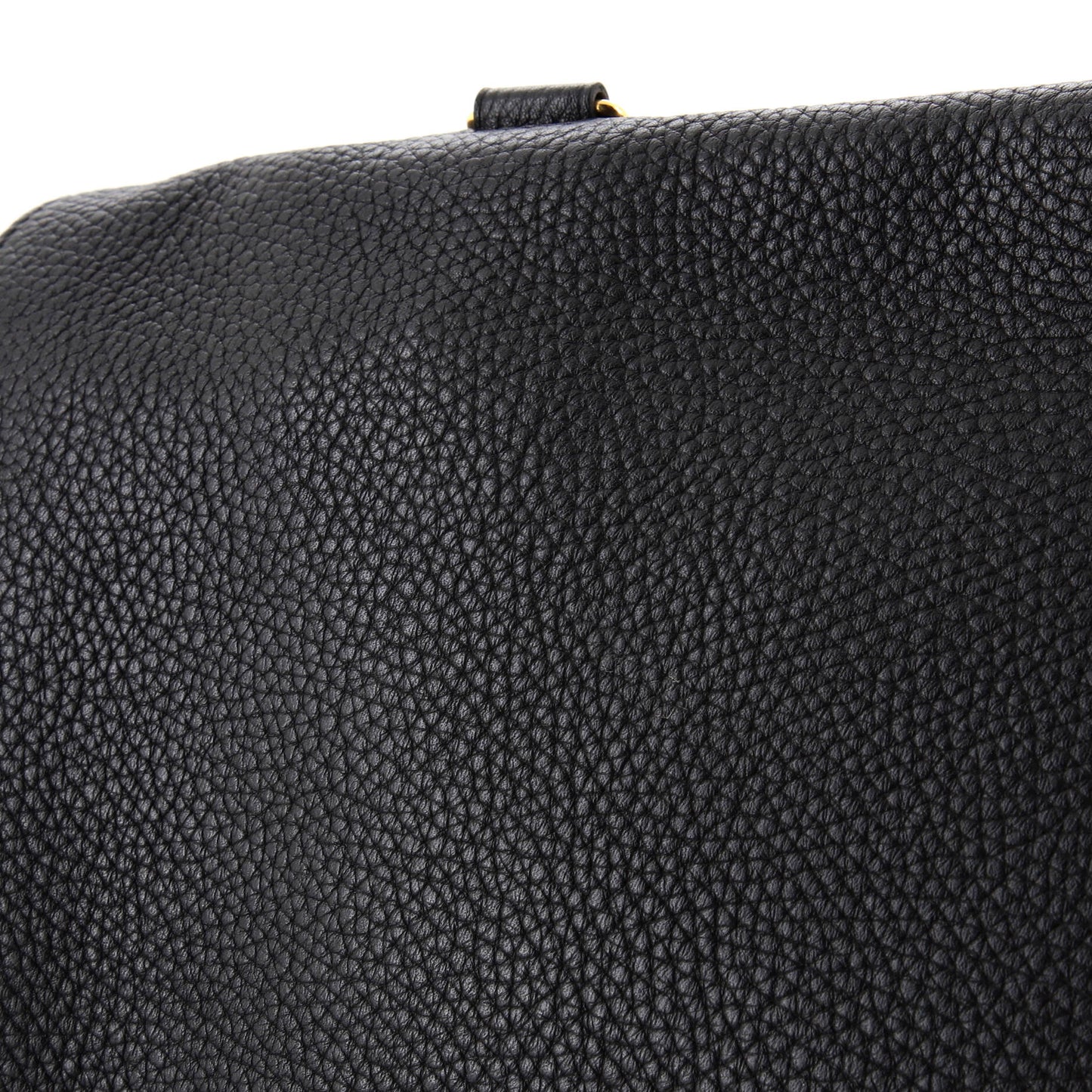 Louis Vuitton Volta Handbag Leather