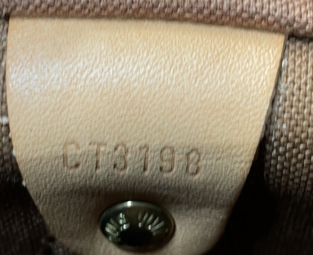 Louis Vuitton Speedy Bandouliere Bag Monogram Canvas 30