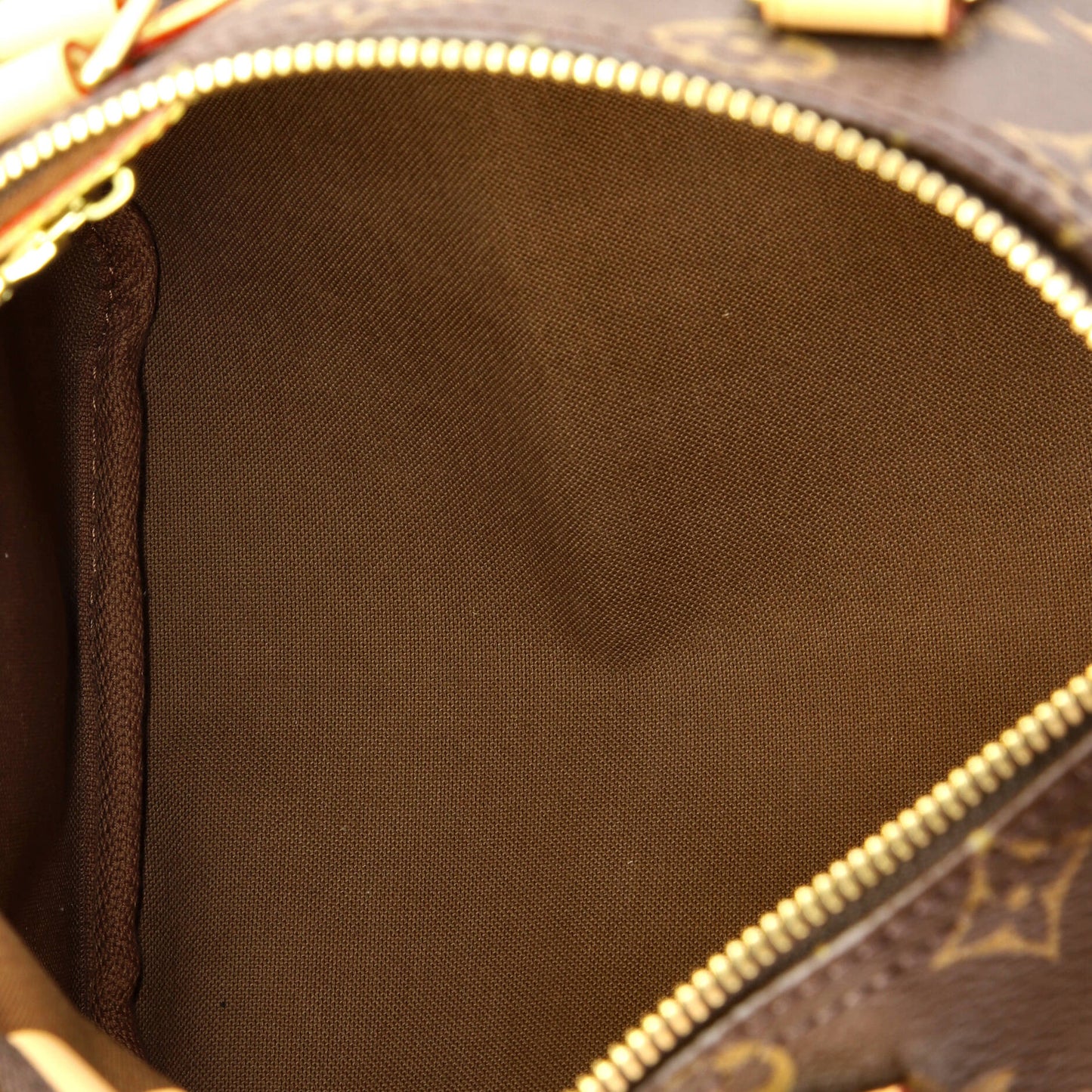 Louis Vuitton Speedy Handbag Monogram Canvas 25