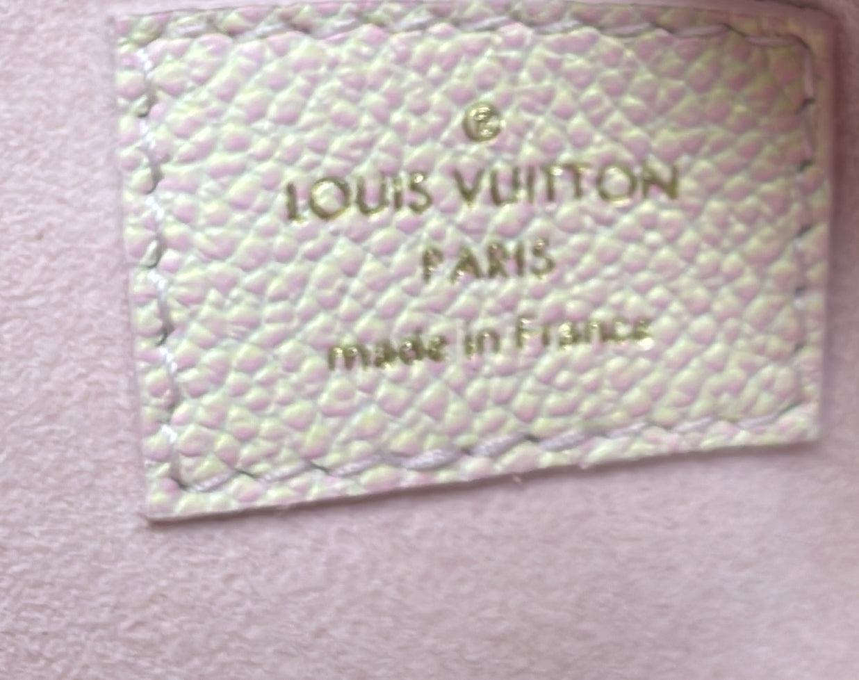Louis Vuitton Multi Pochette Accessoires Stardust Monogram Empreinte Leather