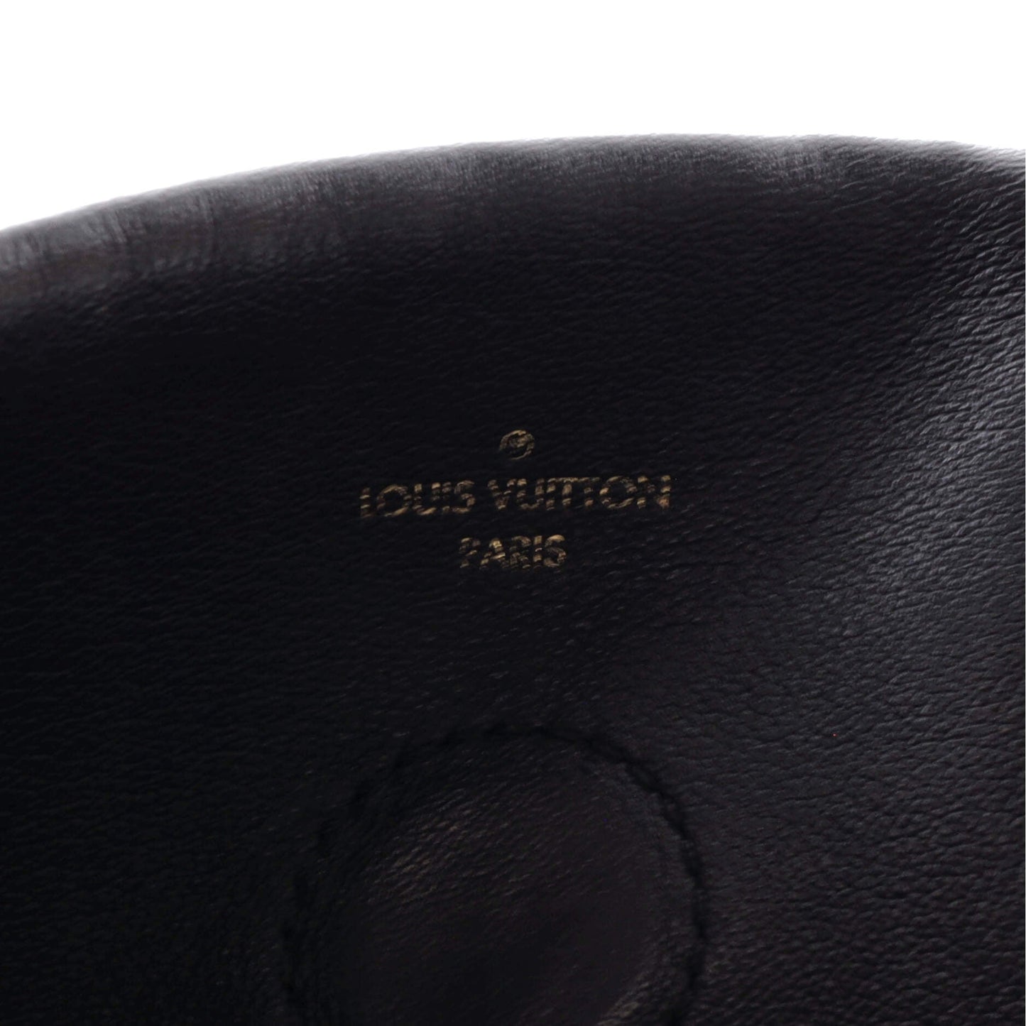Louis Vuitton Tuileries Hobo Monogram Canvas with Leather