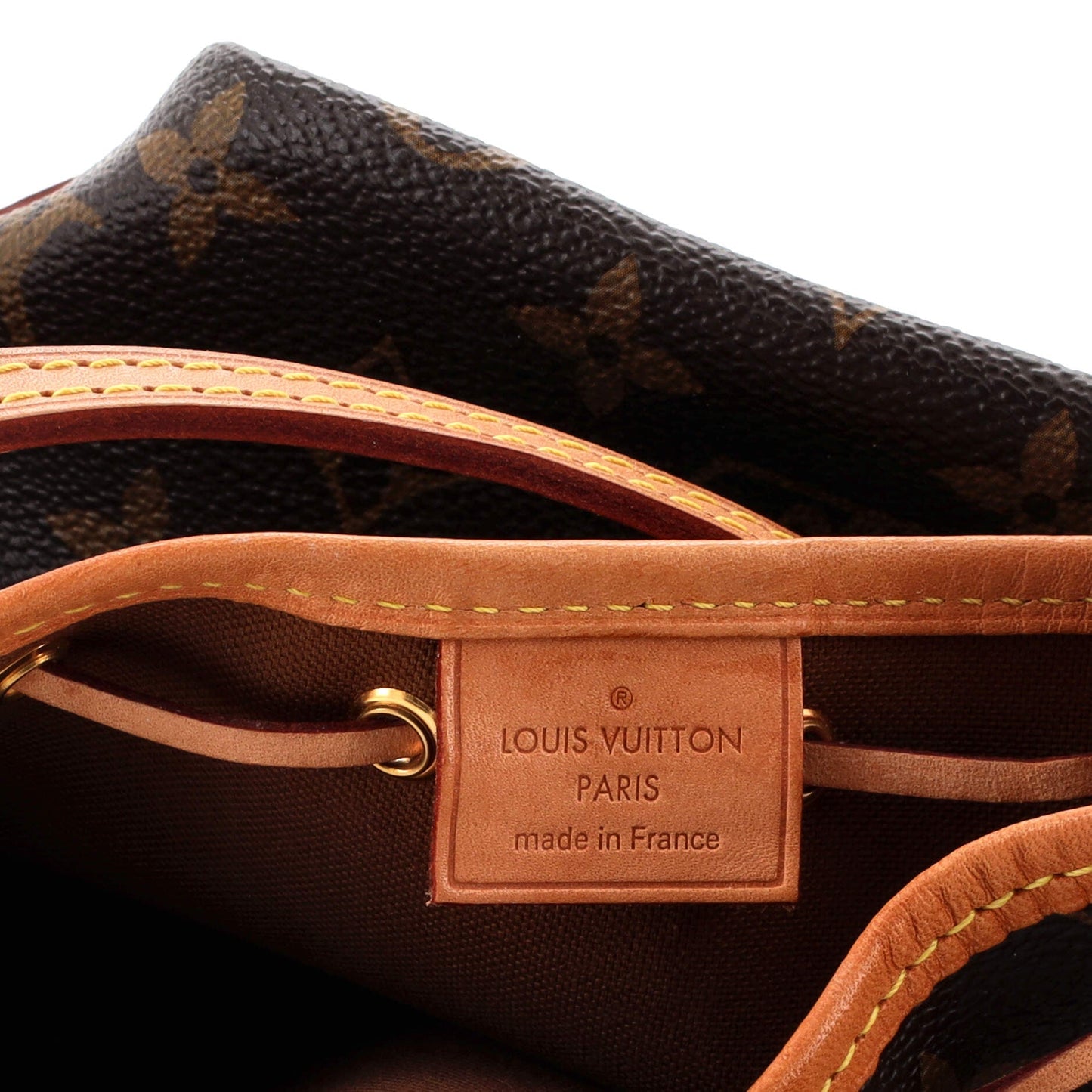 Louis Vuitton Noe Handbag Monogram Canvas Nano