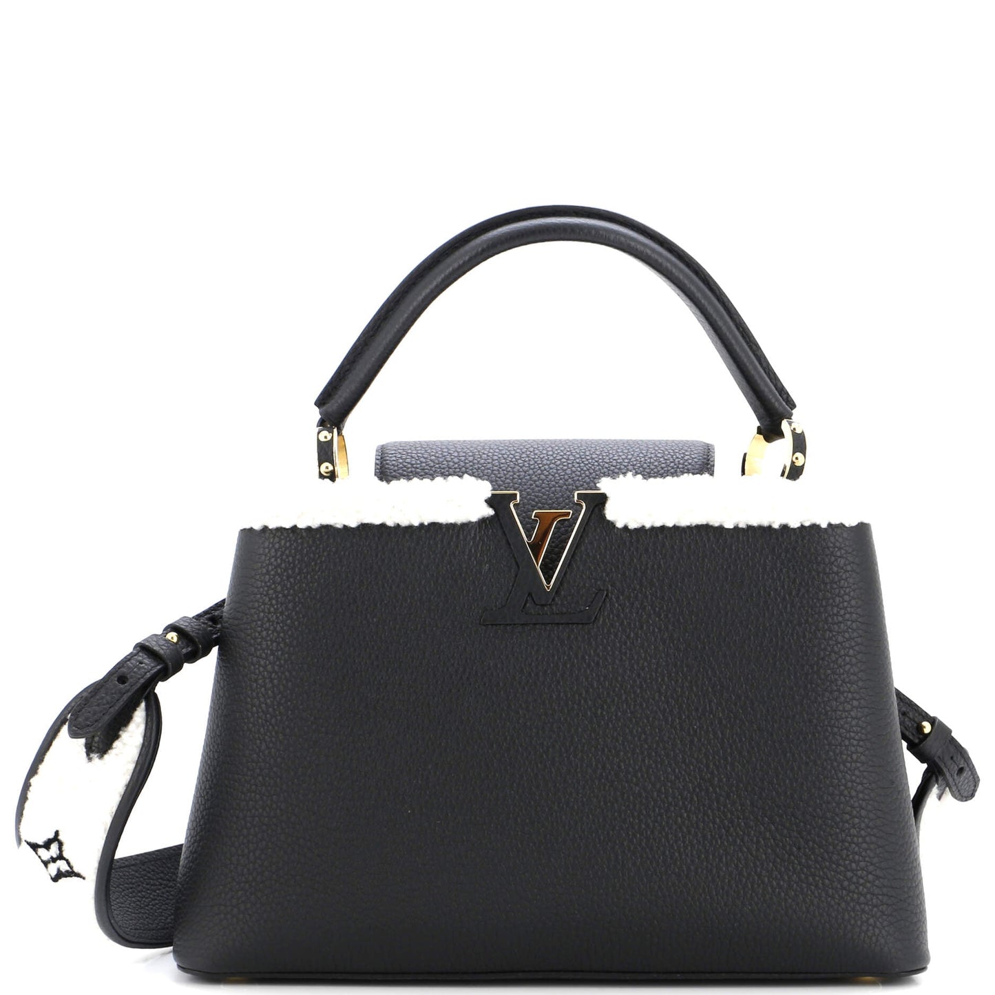 Louis Vuitton Capucines Bag Leather with Shearling BB